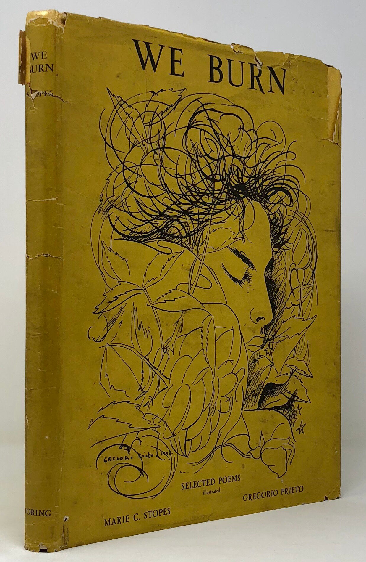 We Burn. Selected poems.