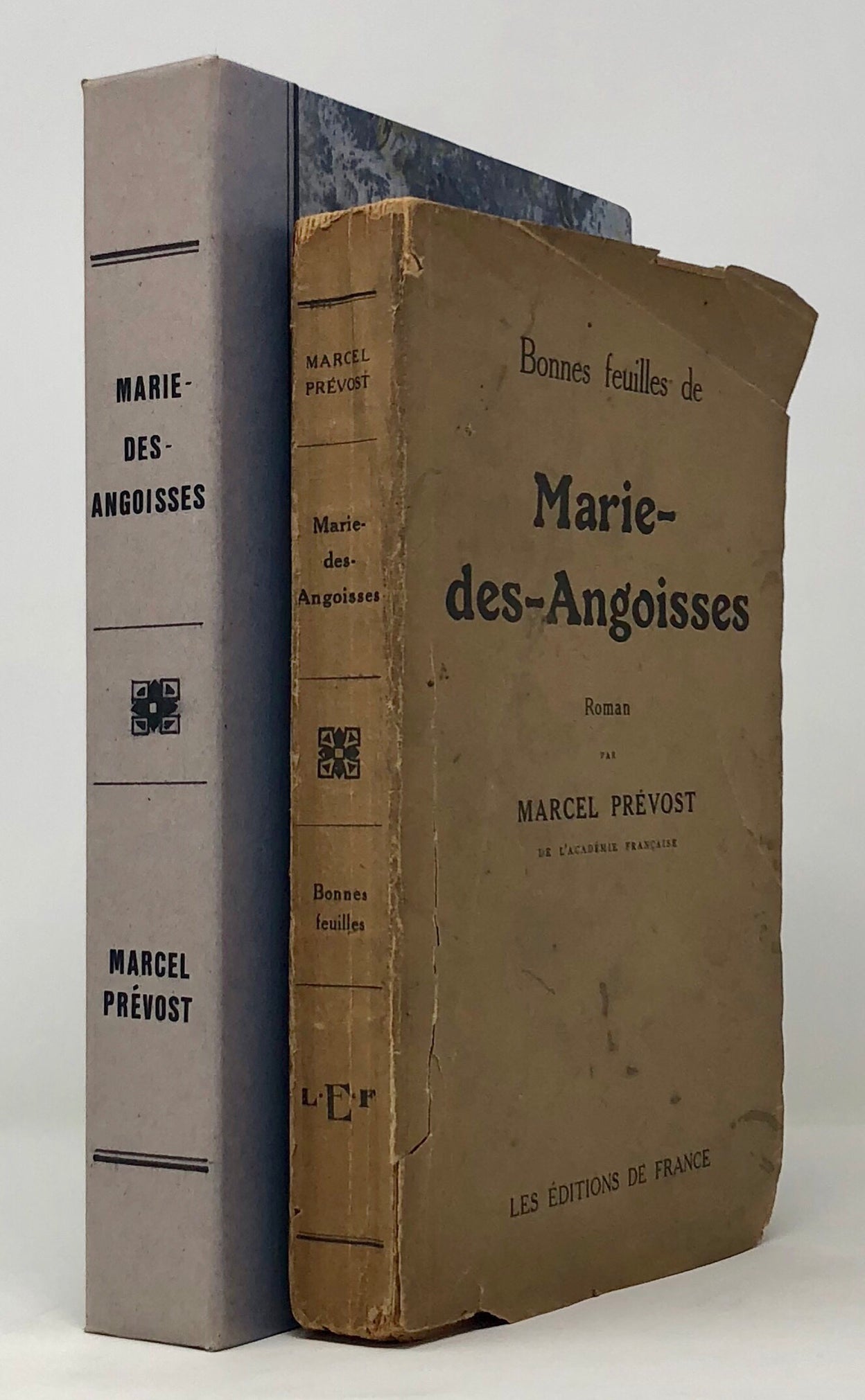 Bonnes feuilles de Marie-des-Angoisses.