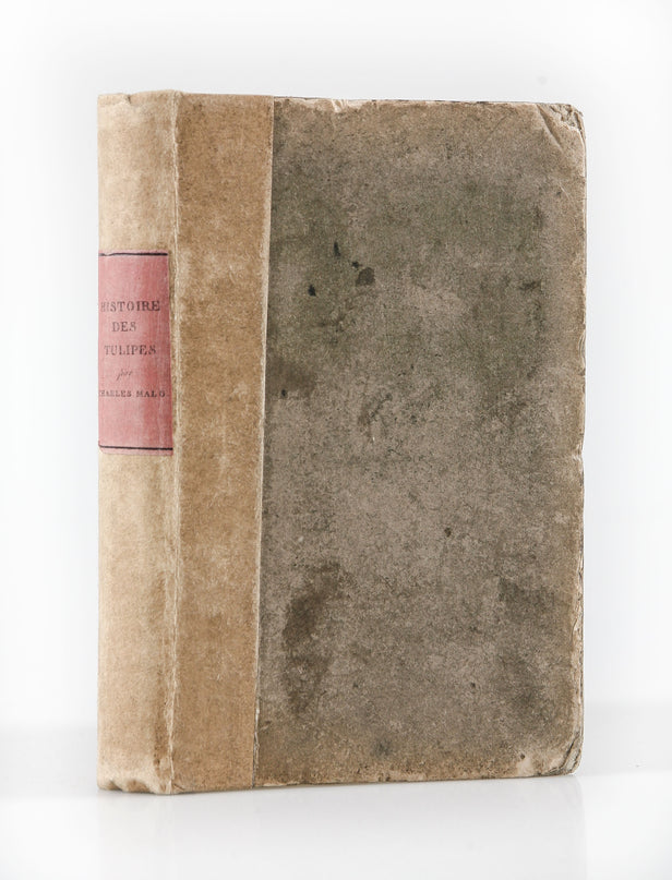 Histoire des Tulipes.