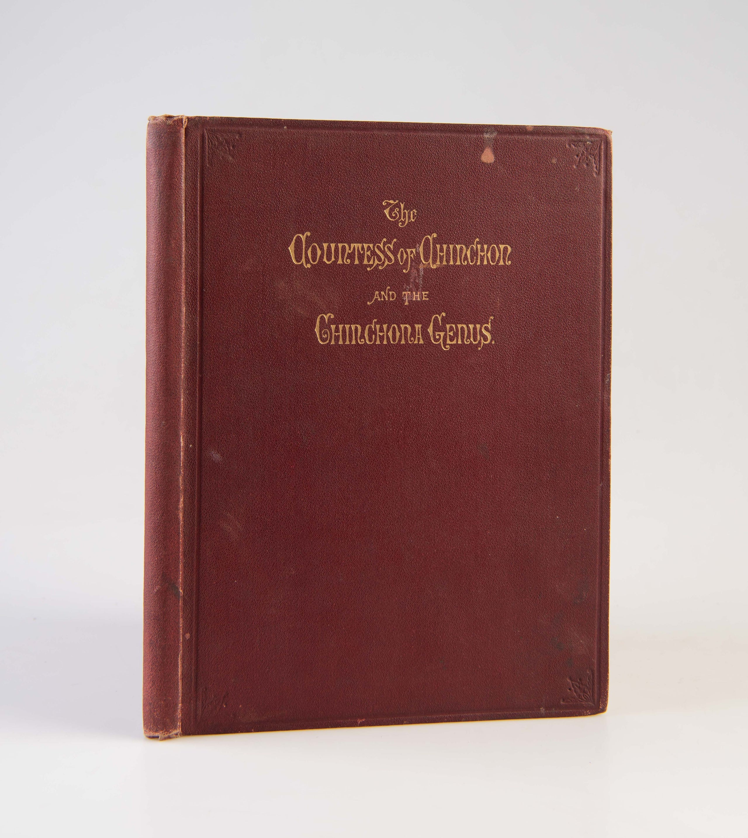 A Memoir of the Lady Ana de Osorio Countess of Chinchon and Vice-Queen of Peru