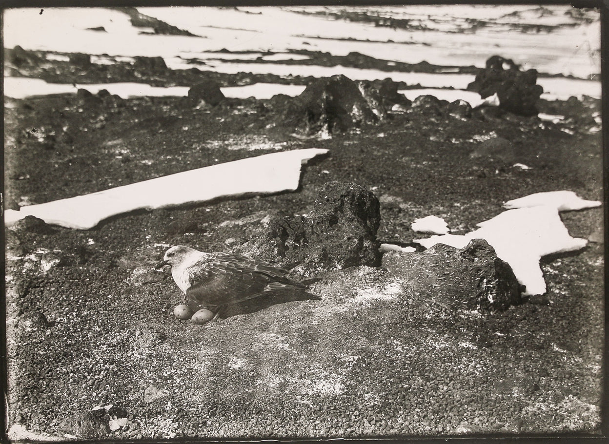 Views of the British Antarctic Expedition, 1910.