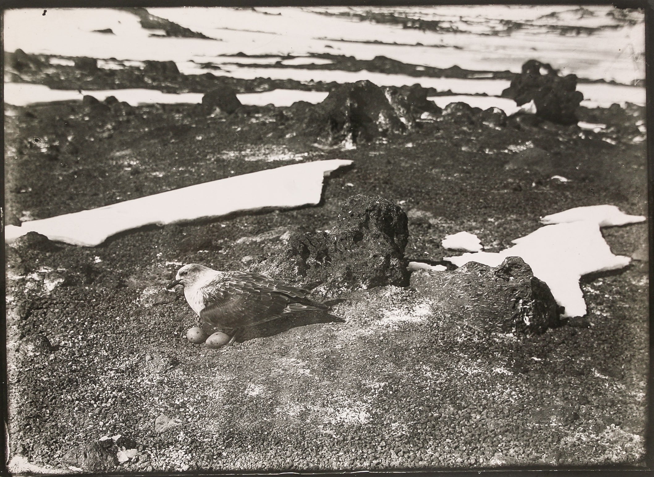 Views of the British Antarctic Expedition, 1910.