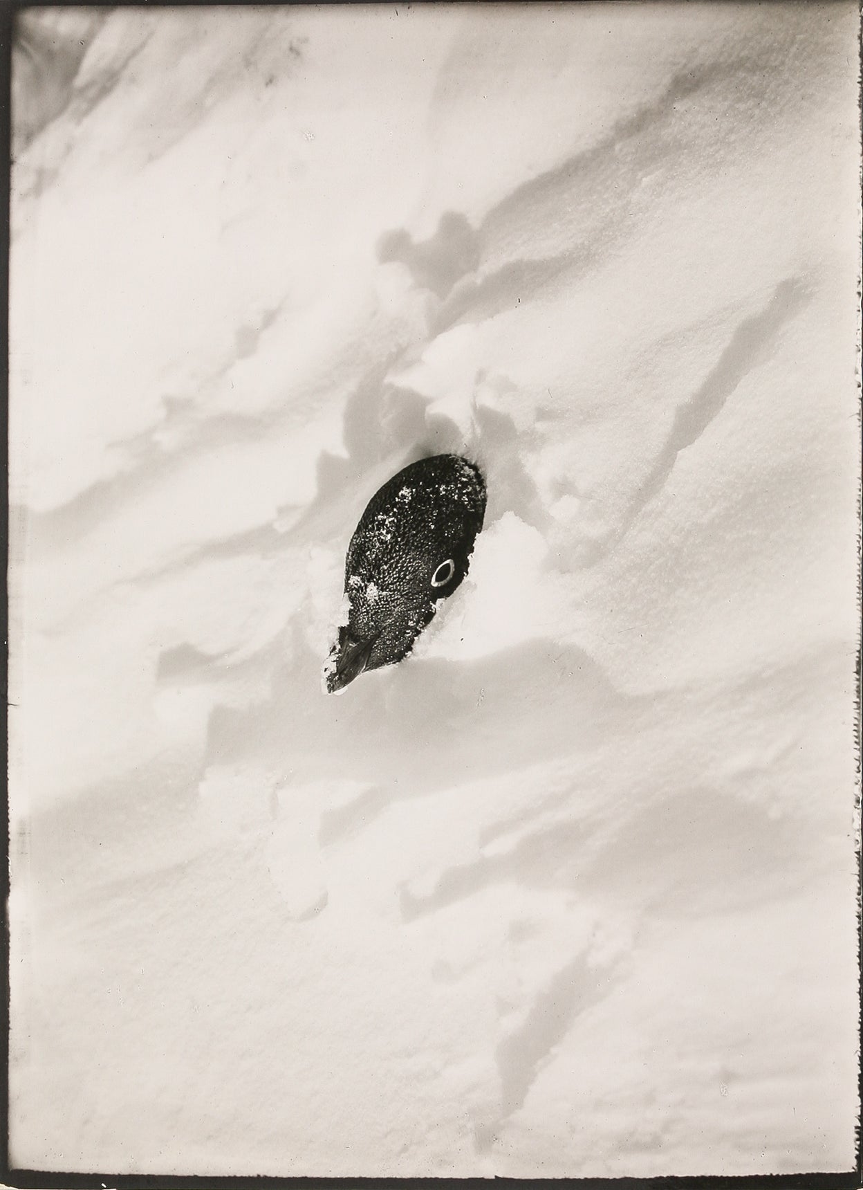 Views of the British Antarctic Expedition, 1910.