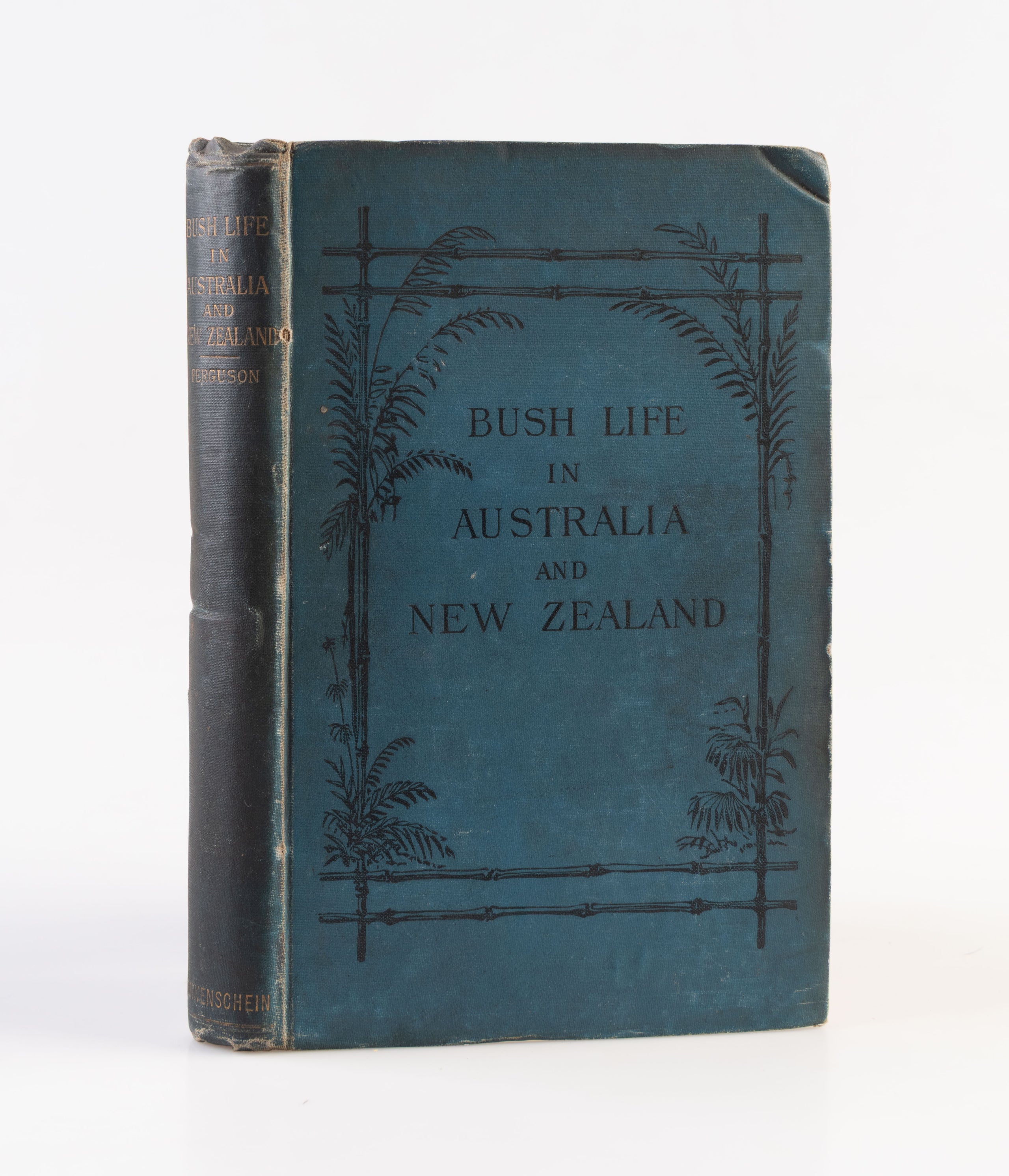 Vicissitudes of Bush Life in Australia and New Zealand.