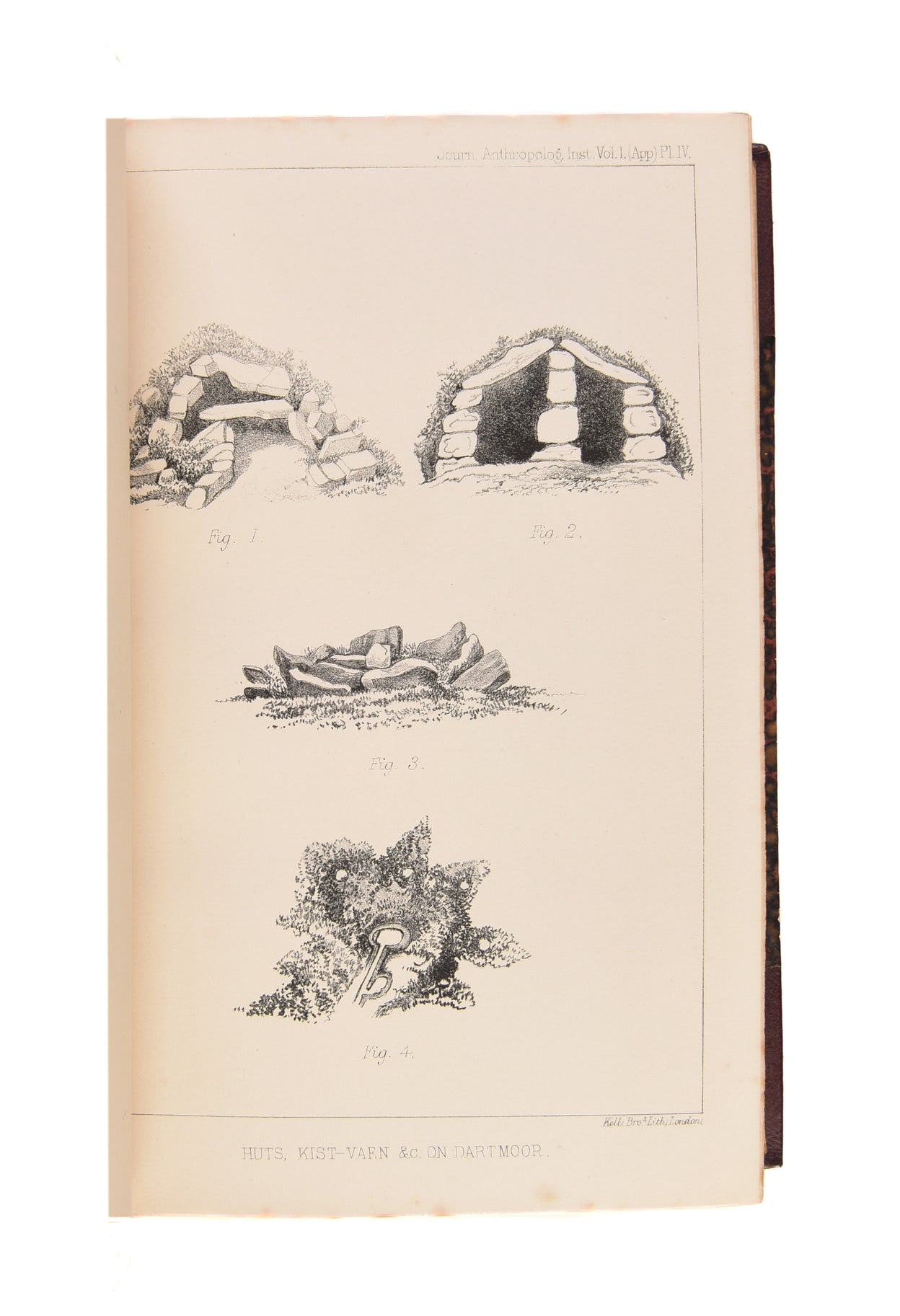 Journal of the Anthropological Institute.