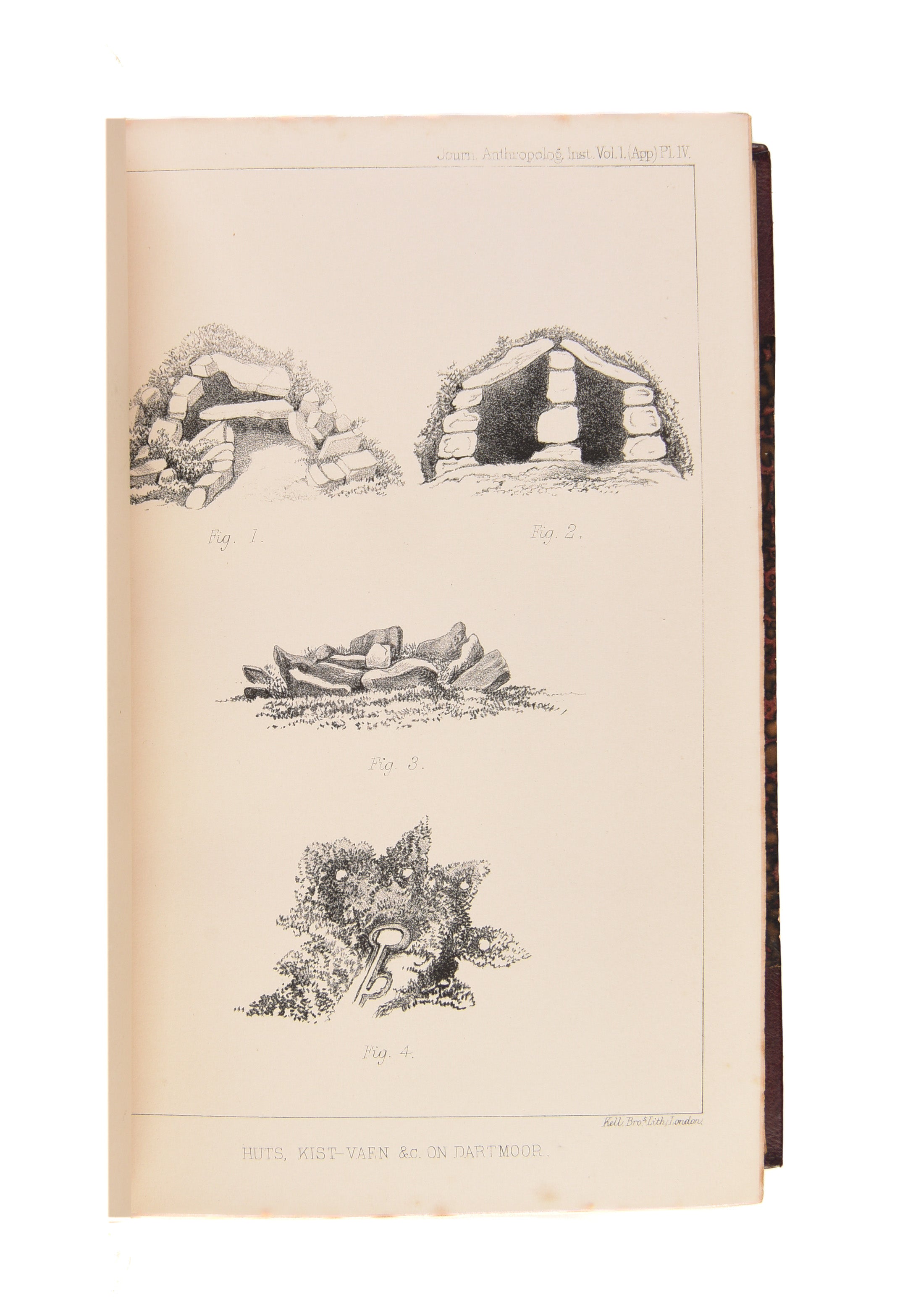 Journal of the Anthropological Institute.