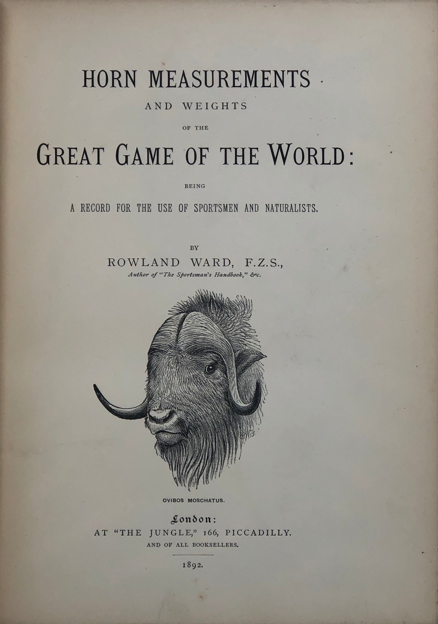 Horn Measurements and Weights of the Great Game of the World: