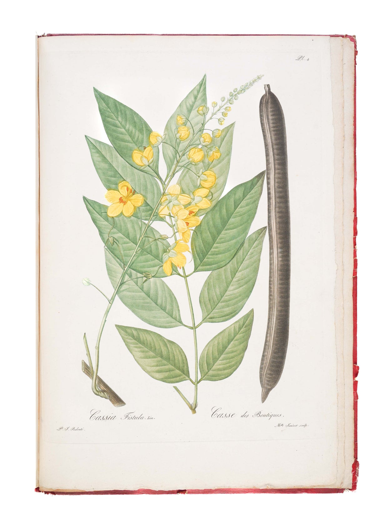 Voyage dans La Haute Egypte, au dessus des Cataractes;