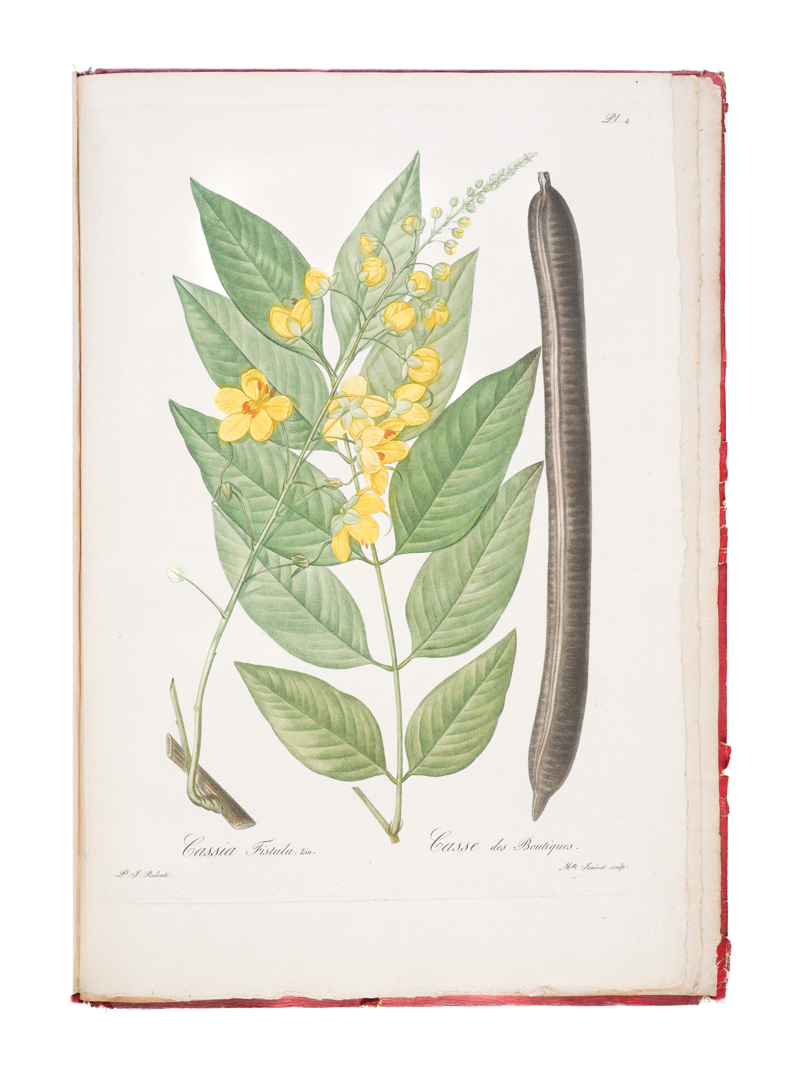 Voyage dans La Haute Egypte, au dessus des Cataractes;