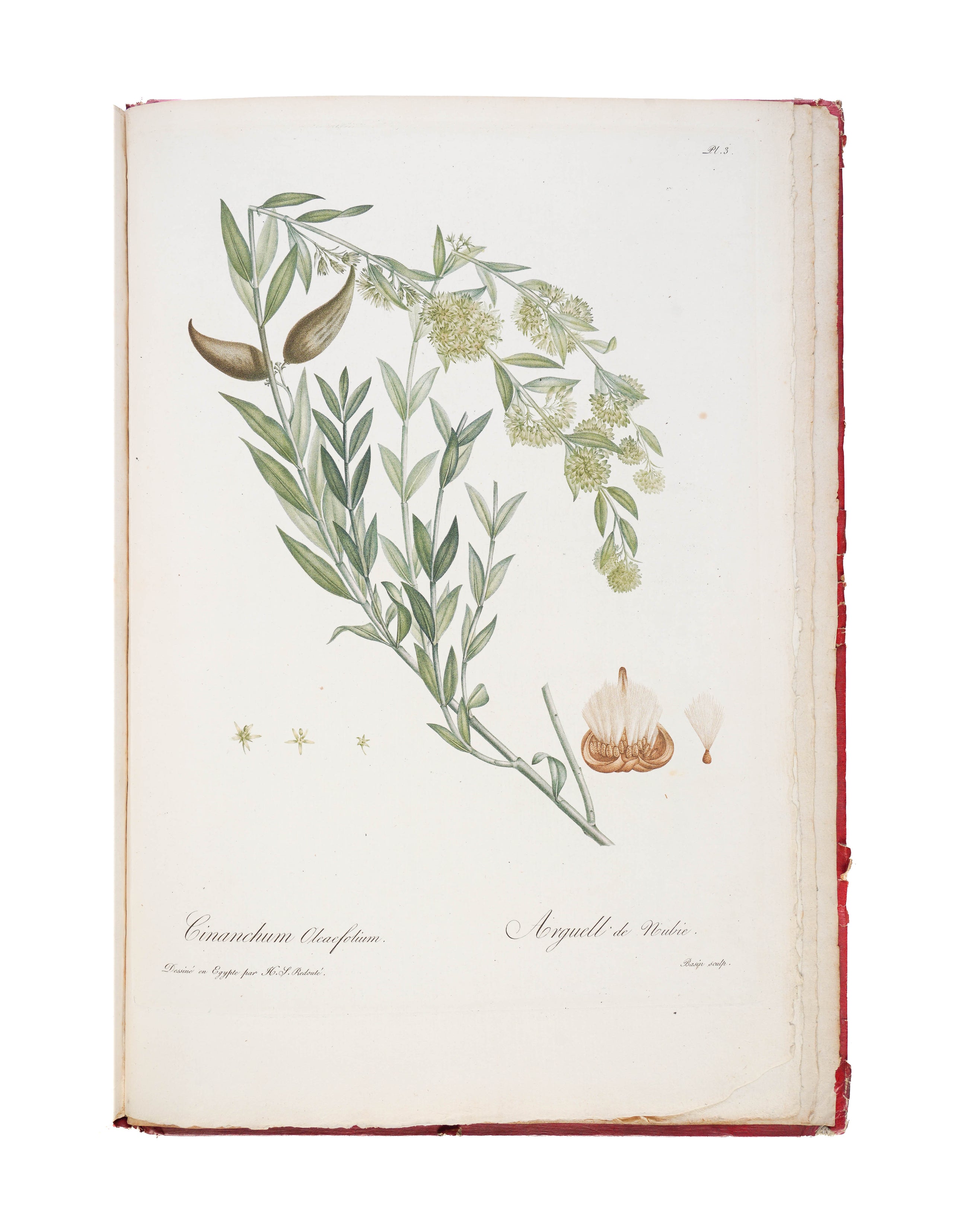 Voyage dans La Haute Egypte, au dessus des Cataractes;