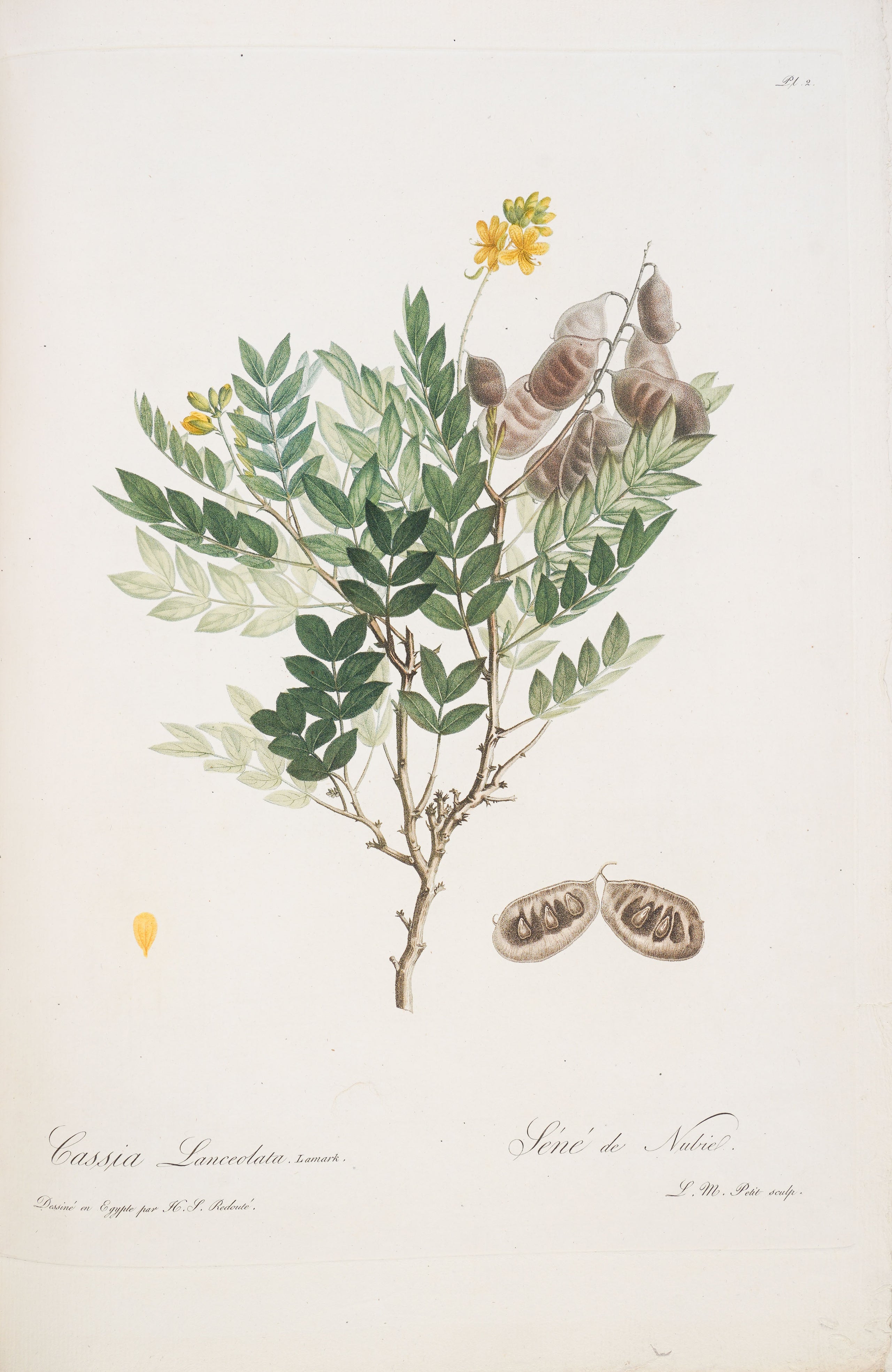 Voyage dans La Haute Egypte, au dessus des Cataractes;