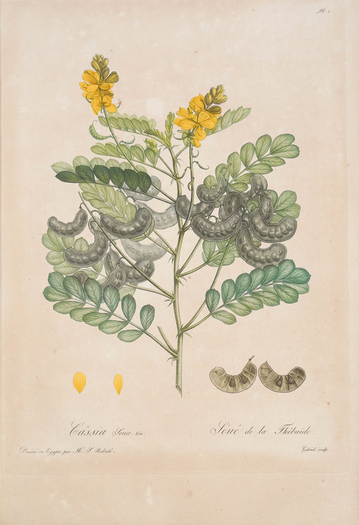 Voyage dans La Haute Egypte, au dessus des Cataractes;