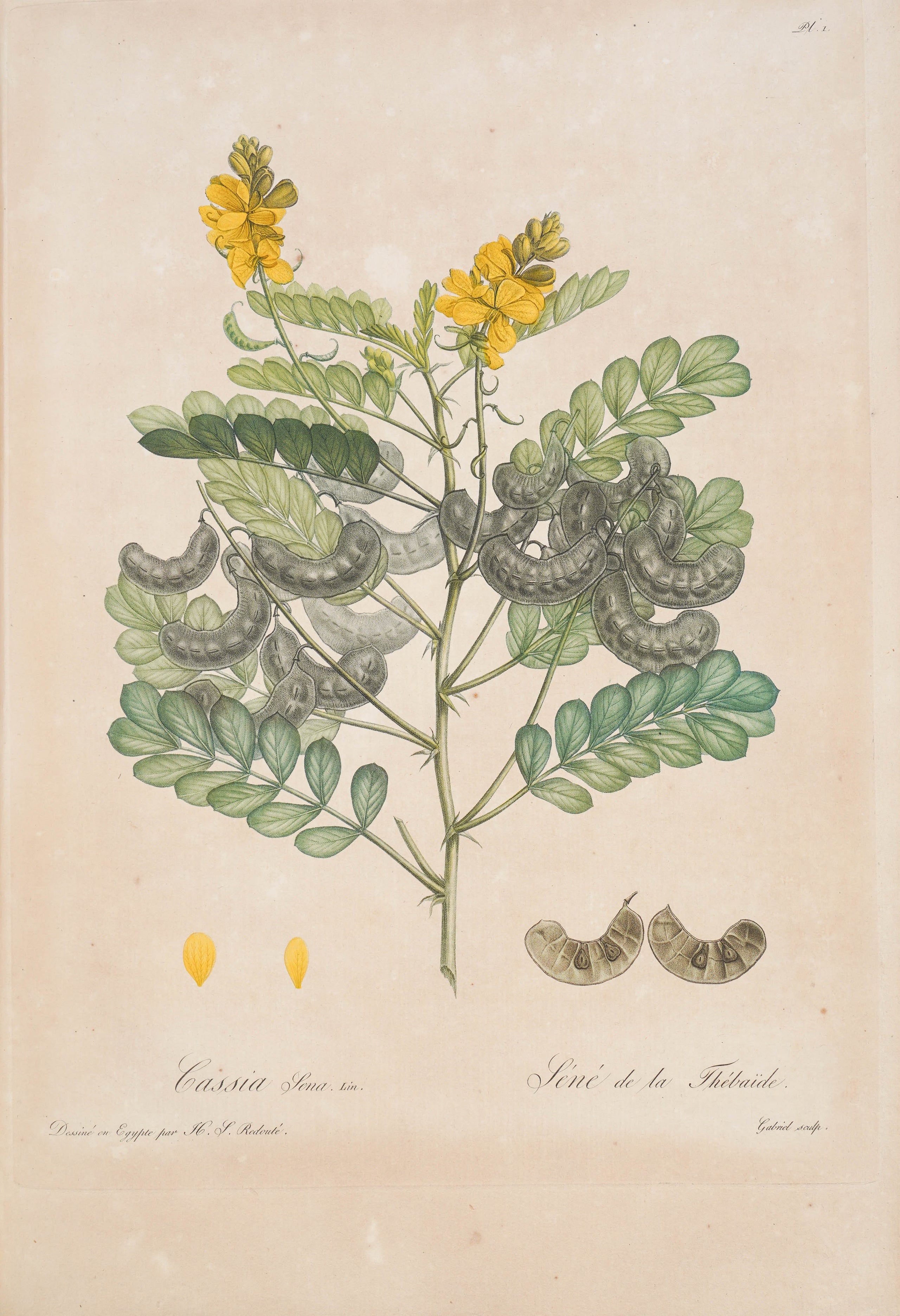 Voyage dans La Haute Egypte, au dessus des Cataractes;