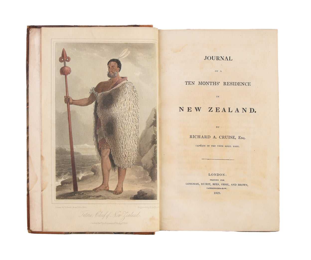 Journal of Ten Months Residence in New Zealand.