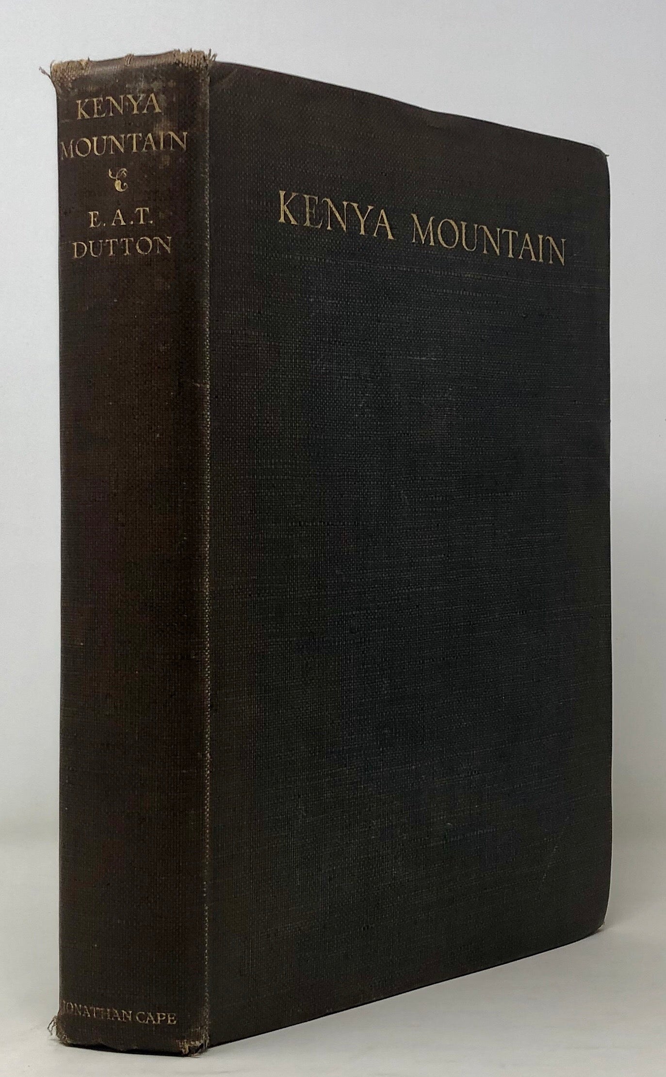 Kenya Mountain;