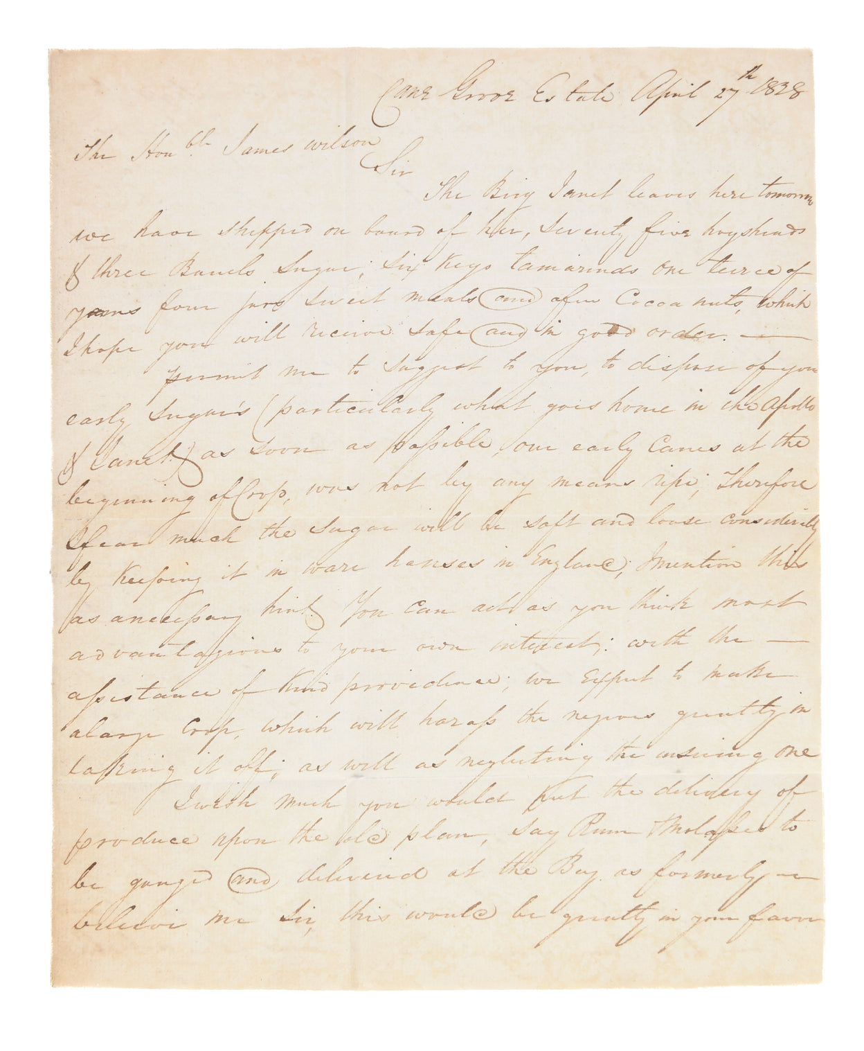 ALS to Hon. James Wilson regarding his plantation Cane Grove on St Vincent.