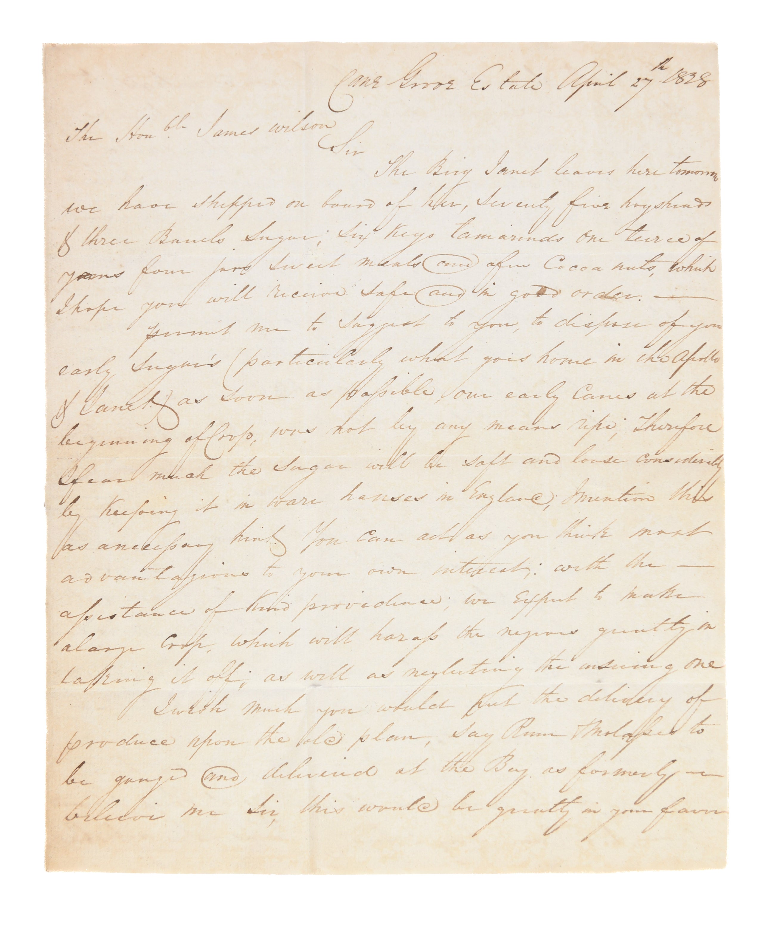 ALS to Hon. James Wilson regarding his plantation Cane Grove on St Vincent.
