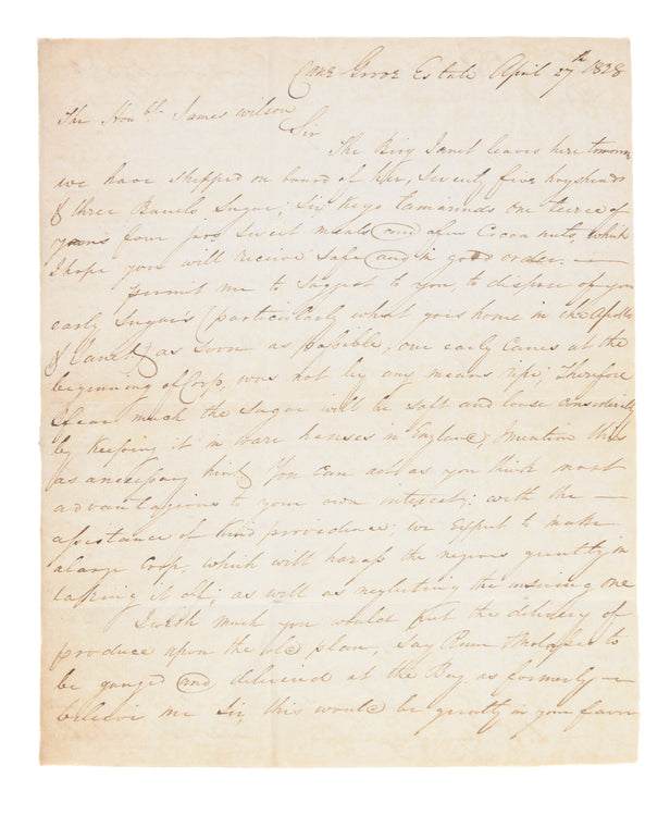 ALS to Hon. James Wilson regarding his plantation Cane Grove on St Vincent.