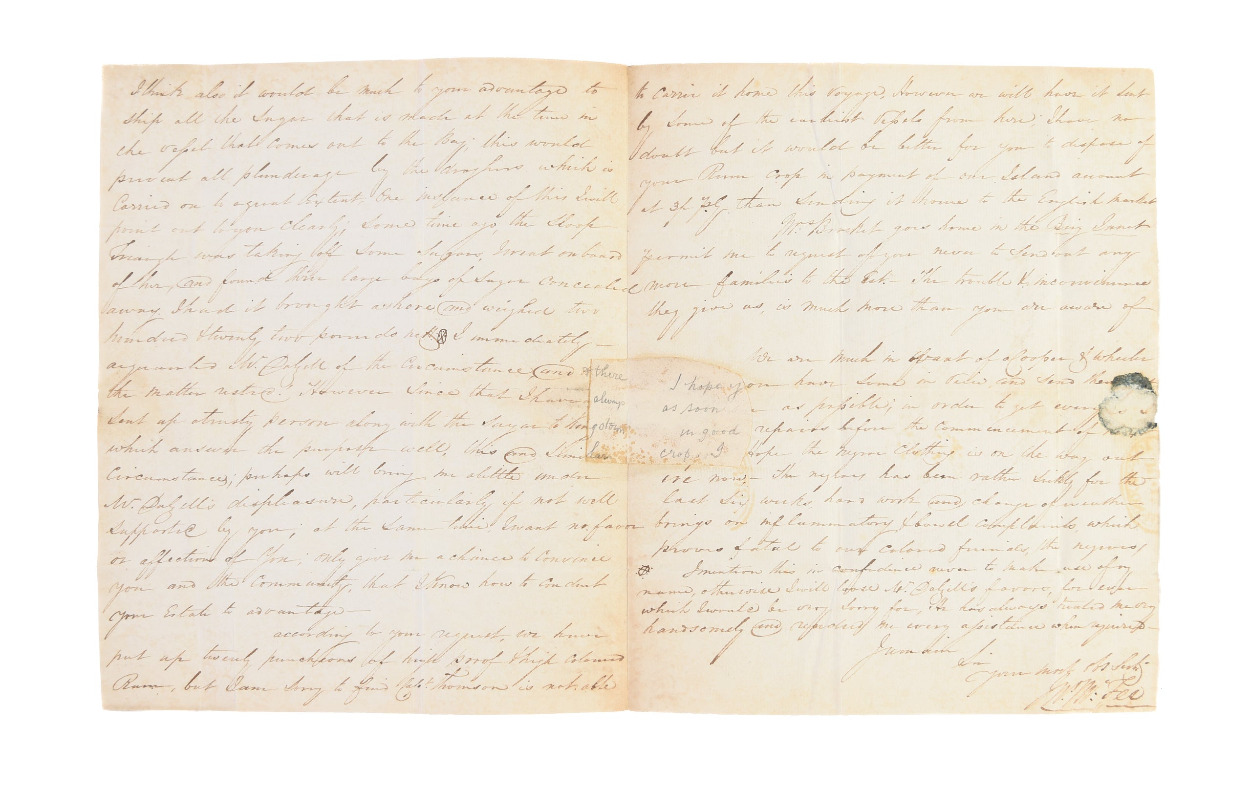 ALS to Hon. James Wilson regarding his plantation Cane Grove on St Vincent.