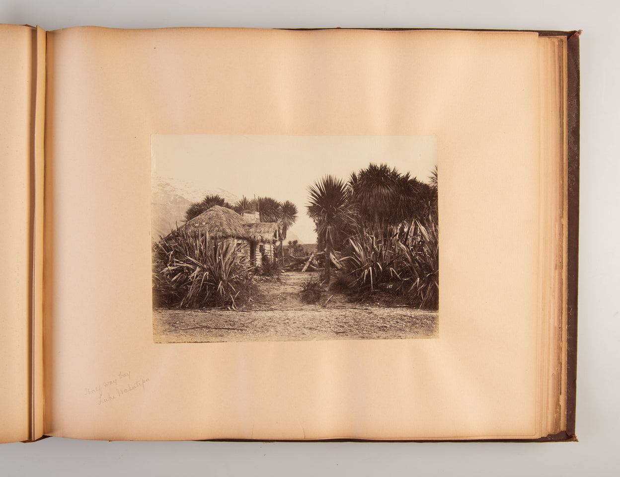 [Album of Photographs of New Zealand].