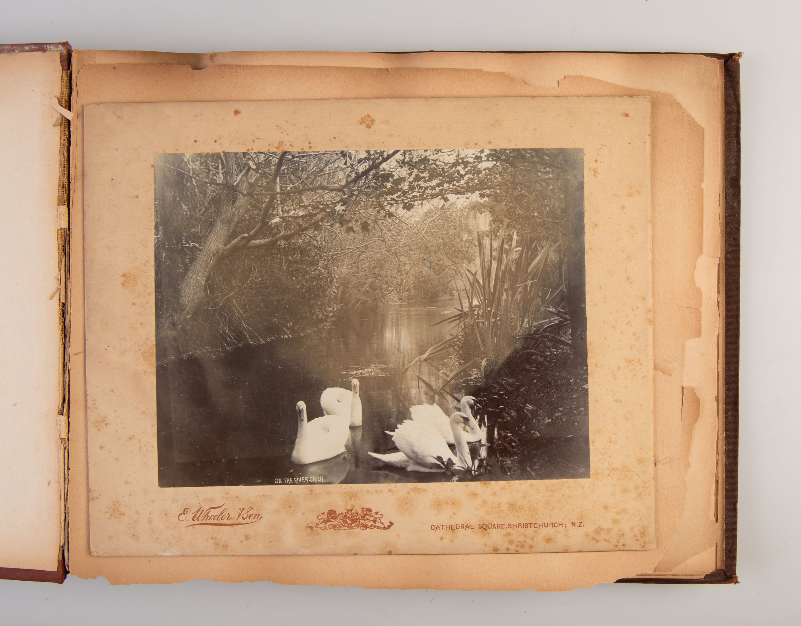 [Album of Photographs of New Zealand].