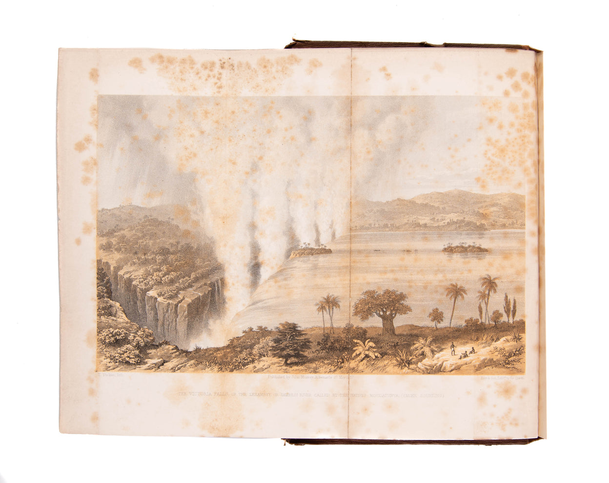 Missionary Travels and Researches in South Africa;