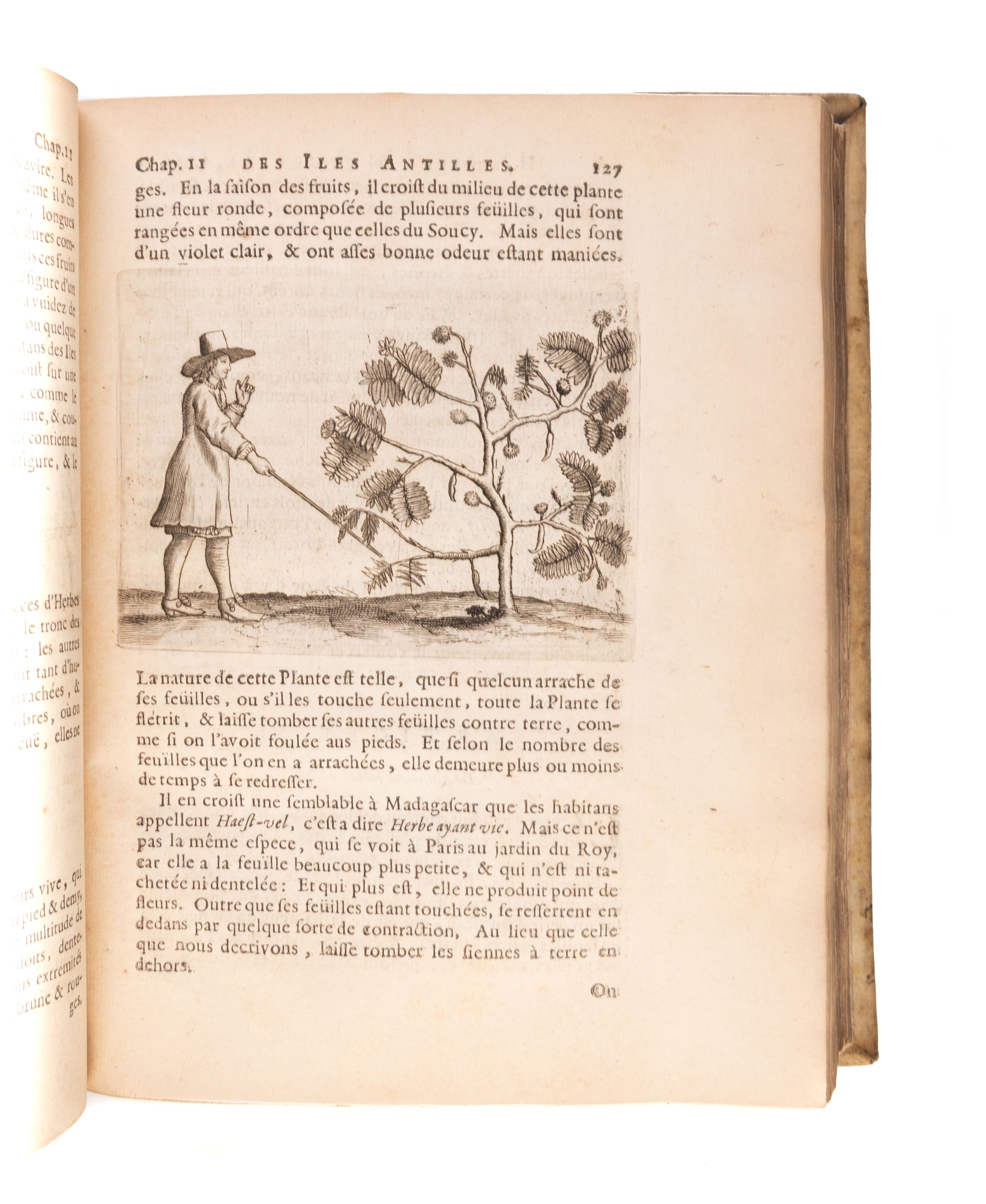 Histoire Naturelle et Morale des Iles Antilles de l'Amerique. Enrichie d'un grand nombre de belles Figures en taille douce, des Places & des Raretez le plus considerables, qui y font décrites. Avec un Vocabulaire Caribe. [With the supplement:] Recit de l'