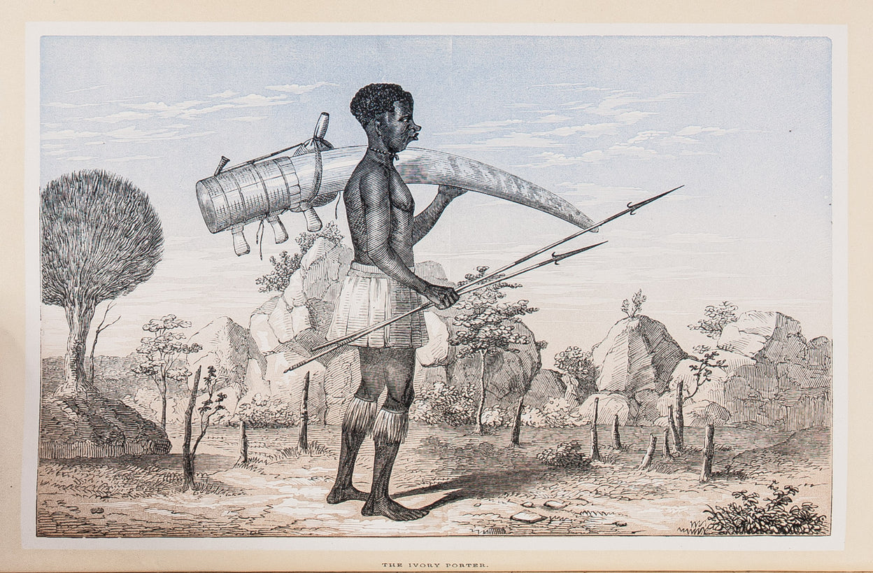 The Lake Regions of Central Africa. A Picture of Exploration.