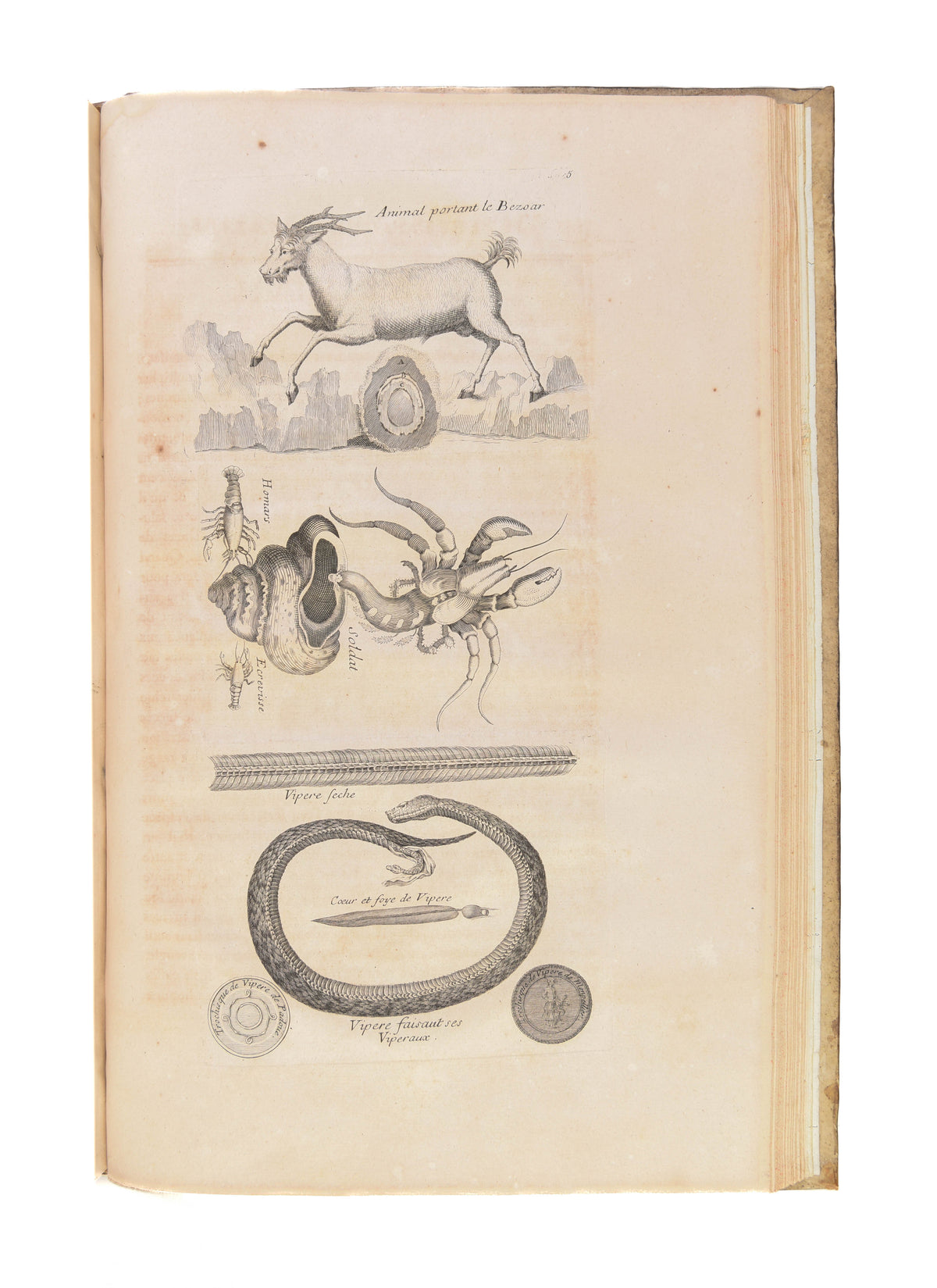 Superstitions orientales, ou tableau des erreurs et des superstitions des principaux peuples de l'orient, de leurs moeurs, de leurs usages et de leur législation. Par un Société de gens de lettres [ J.C. Poncelin de la Roche-Tilhac]