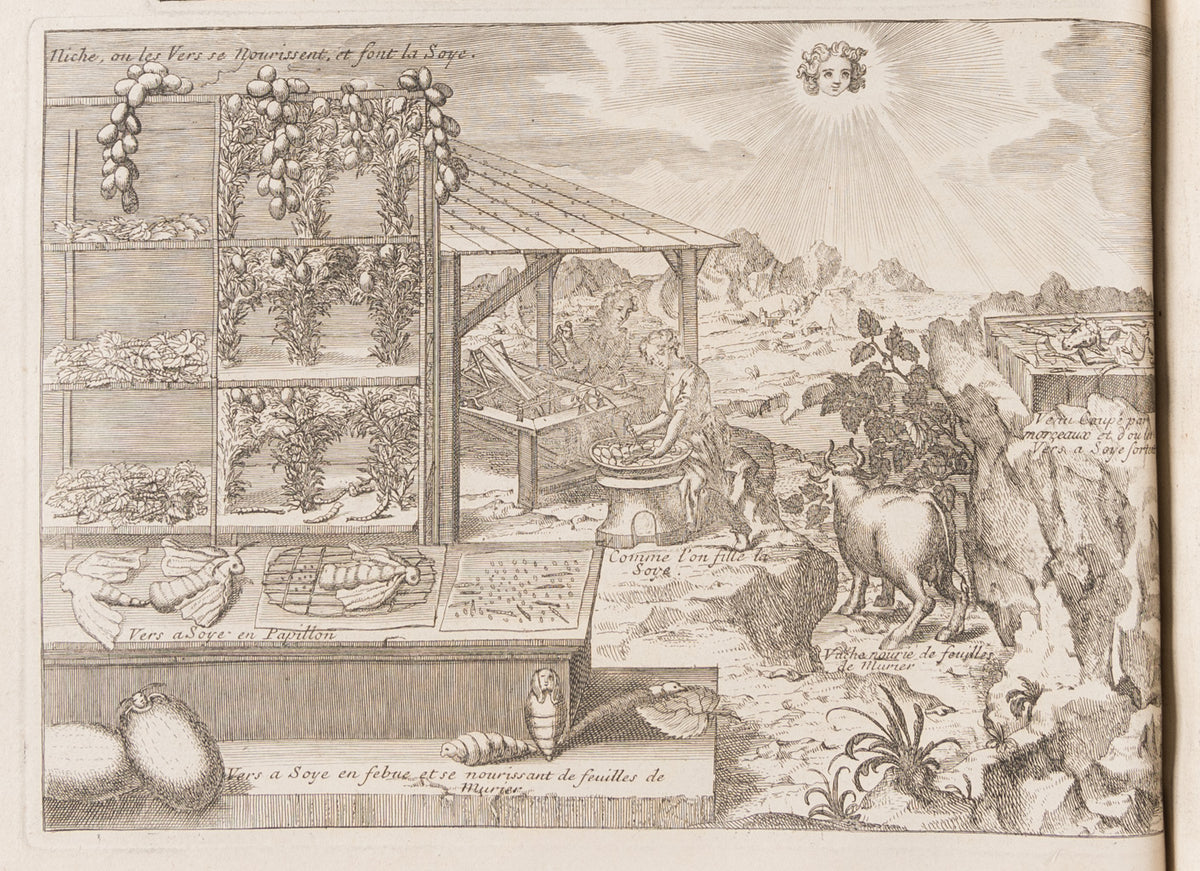 Superstitions orientales, ou tableau des erreurs et des superstitions des principaux peuples de l'orient, de leurs moeurs, de leurs usages et de leur législation. Par un Société de gens de lettres [ J.C. Poncelin de la Roche-Tilhac]