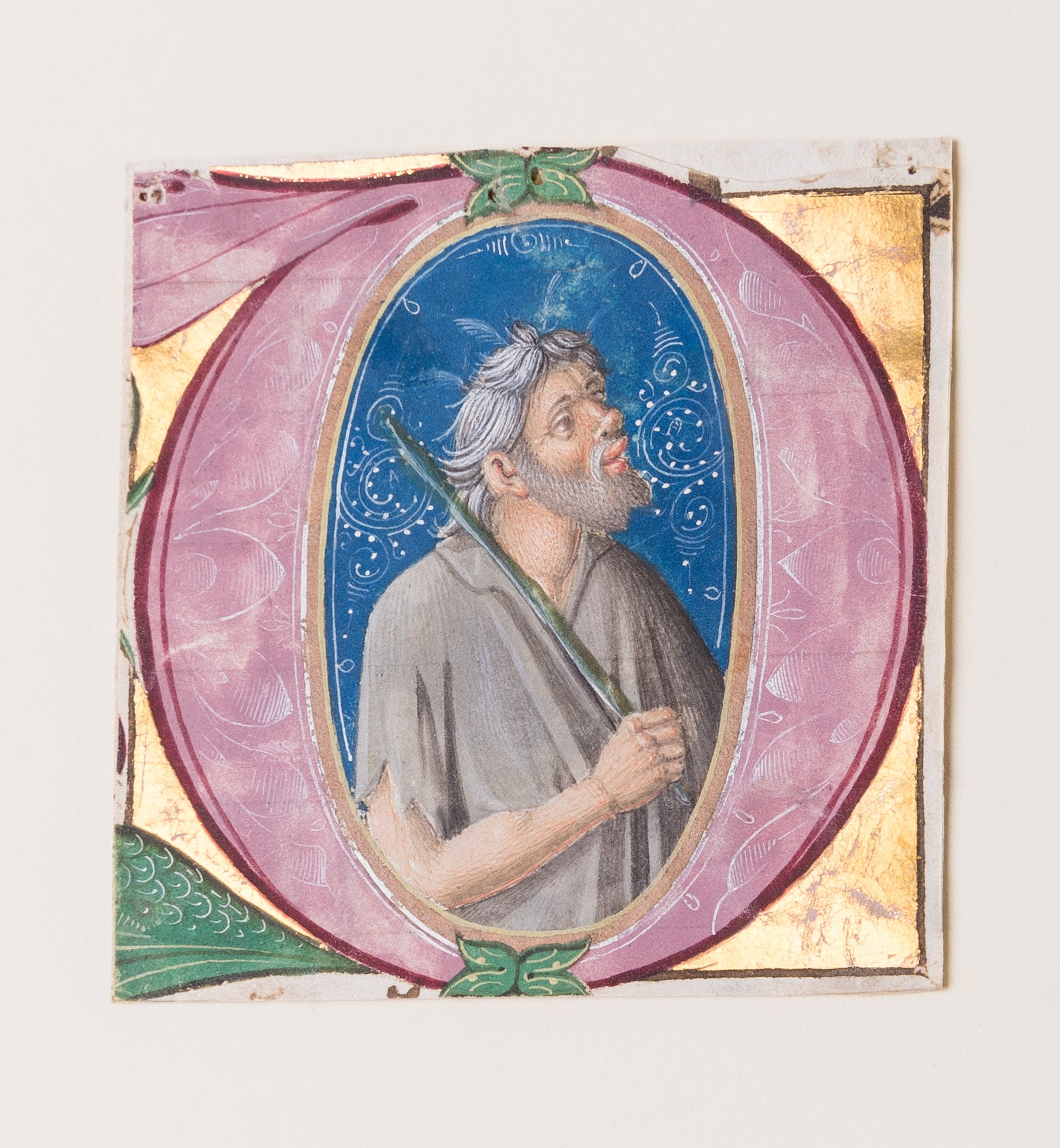 A Fool, initial 'D', from an illuminated choirbook on vellum.