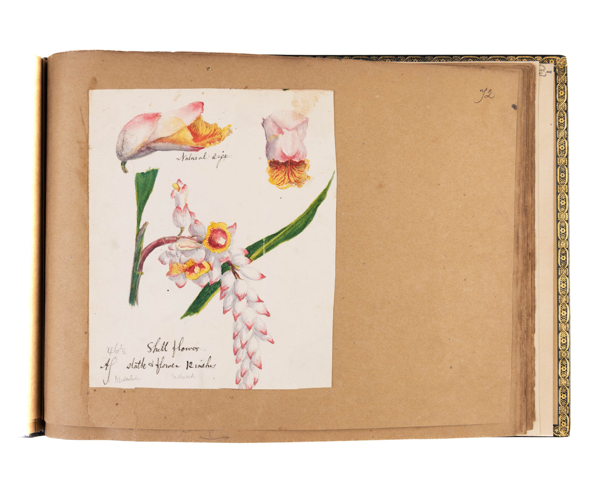 A volume of watercolours depicting topographical scenes in and around the Nassau and the Bahamas, with a further 13 drawings of botanical specimens, plus a fine study of a tarantula.