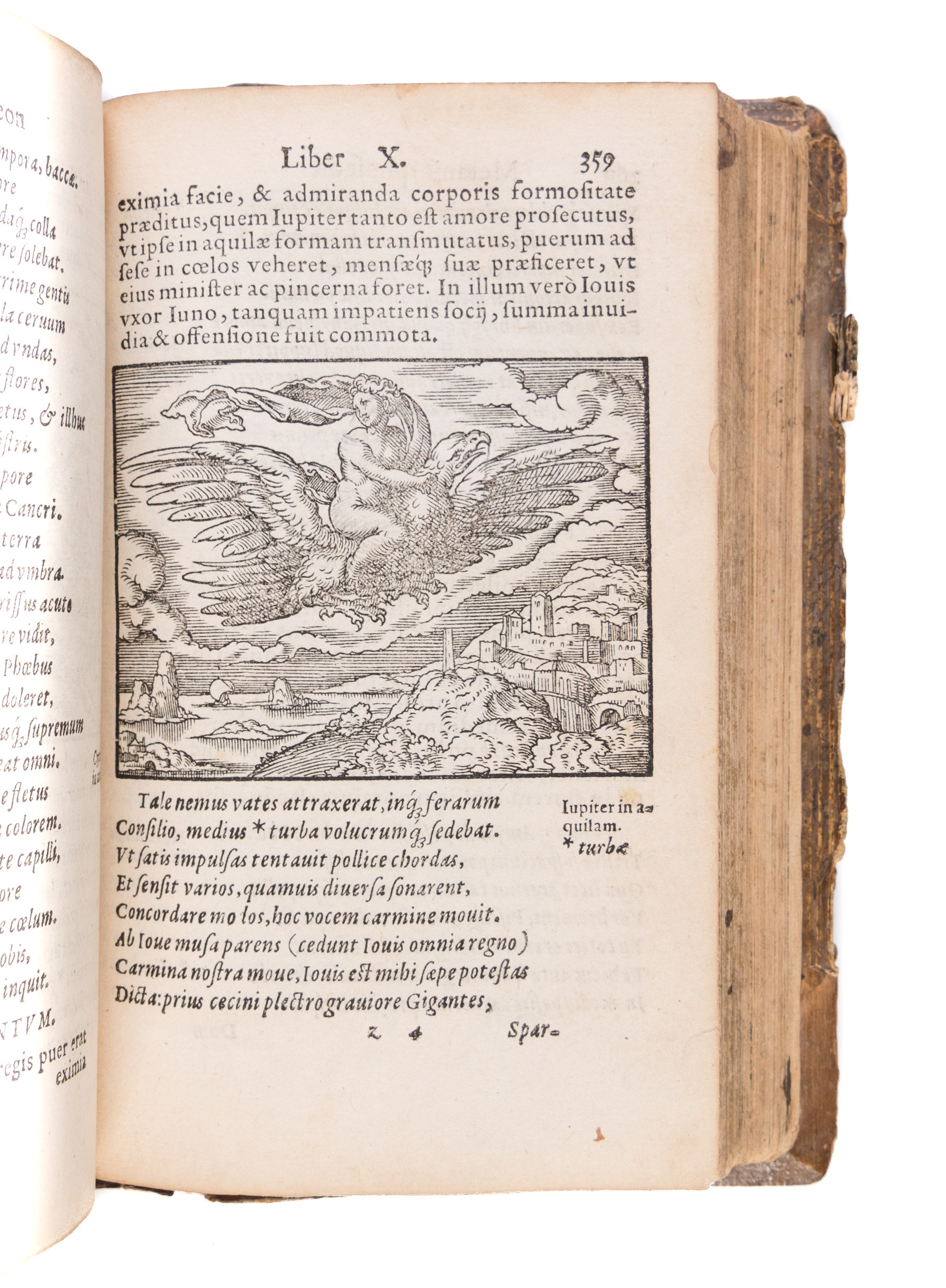 Metamorphoseon libri XV. In singulas quasque fabulas argumeta. Ex postrema Iac. Micylli recognitione.