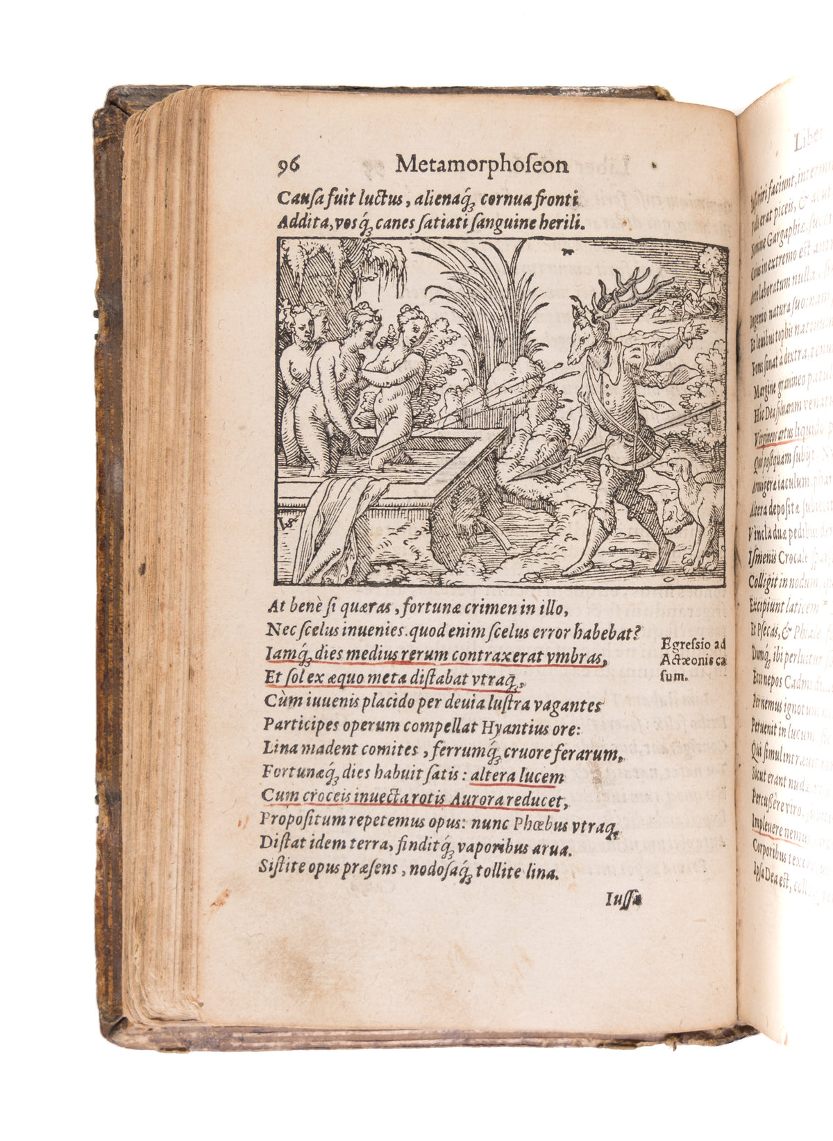 Metamorphoseon libri XV. In singulas quasque fabulas argumeta. Ex postrema Iac. Micylli recognitione.
