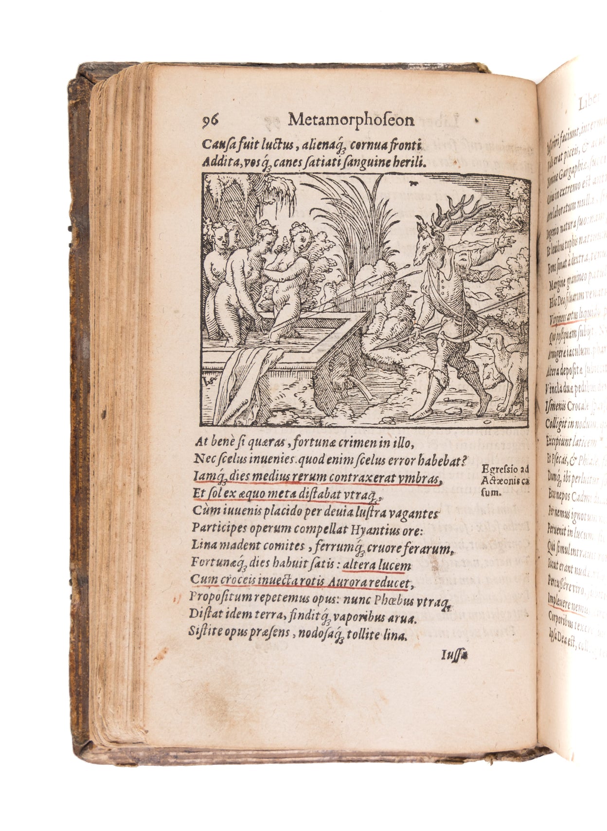 Metamorphoseon libri XV. In singulas quasque fabulas argumeta. Ex postrema Iac. Micylli recognitione.