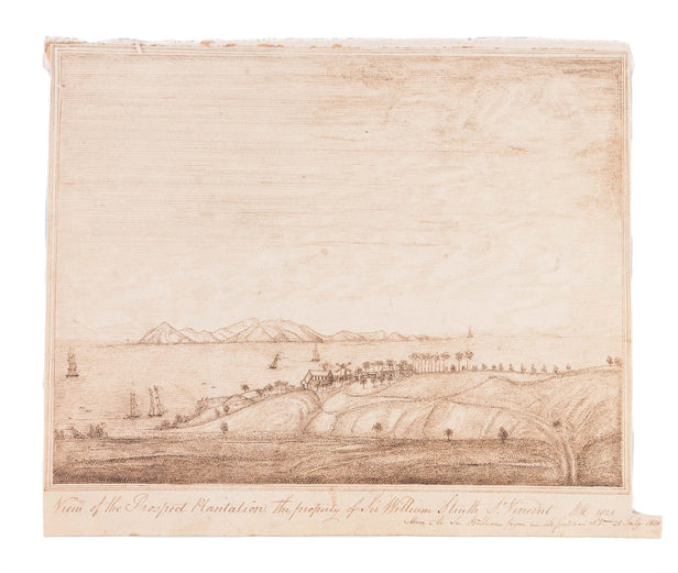 View of the Prospect Plantation, the property of Sir William Struth...