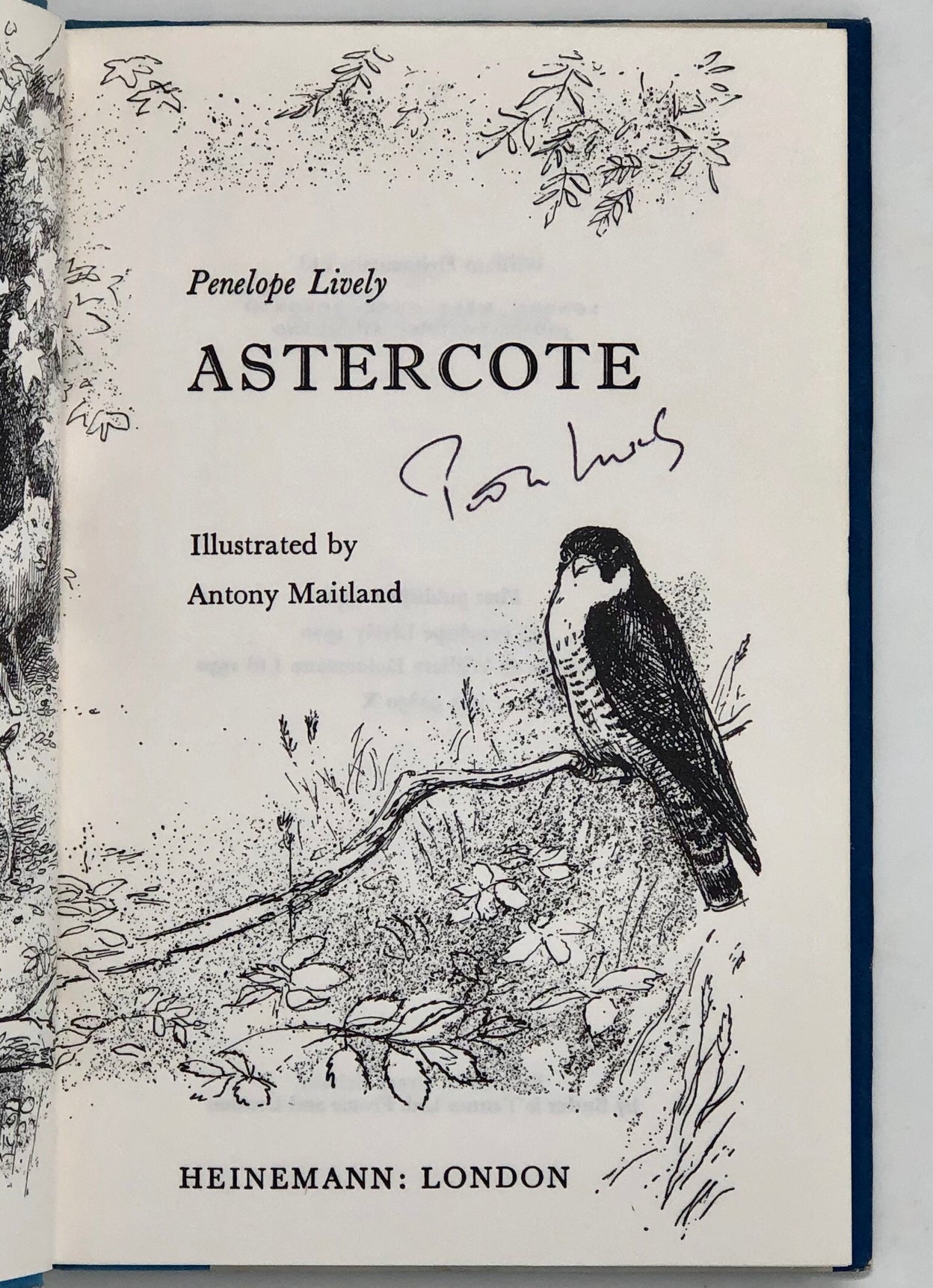Astercote.
