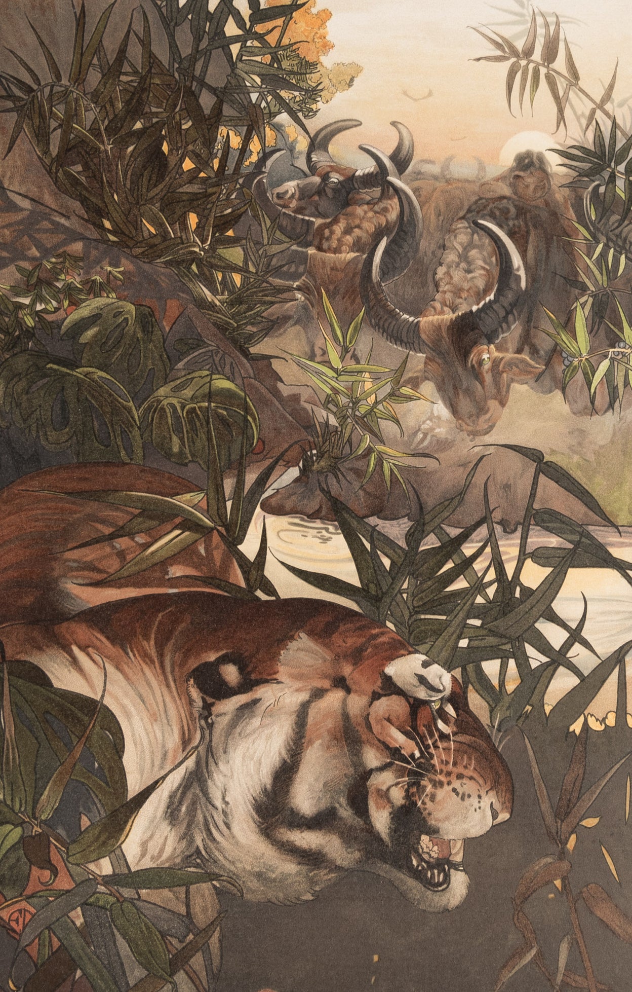 Sixteen Illustrations of Subjects from Rudyard Kipling's Jungle Book by Messrs. Maurice & Edward Detmold.