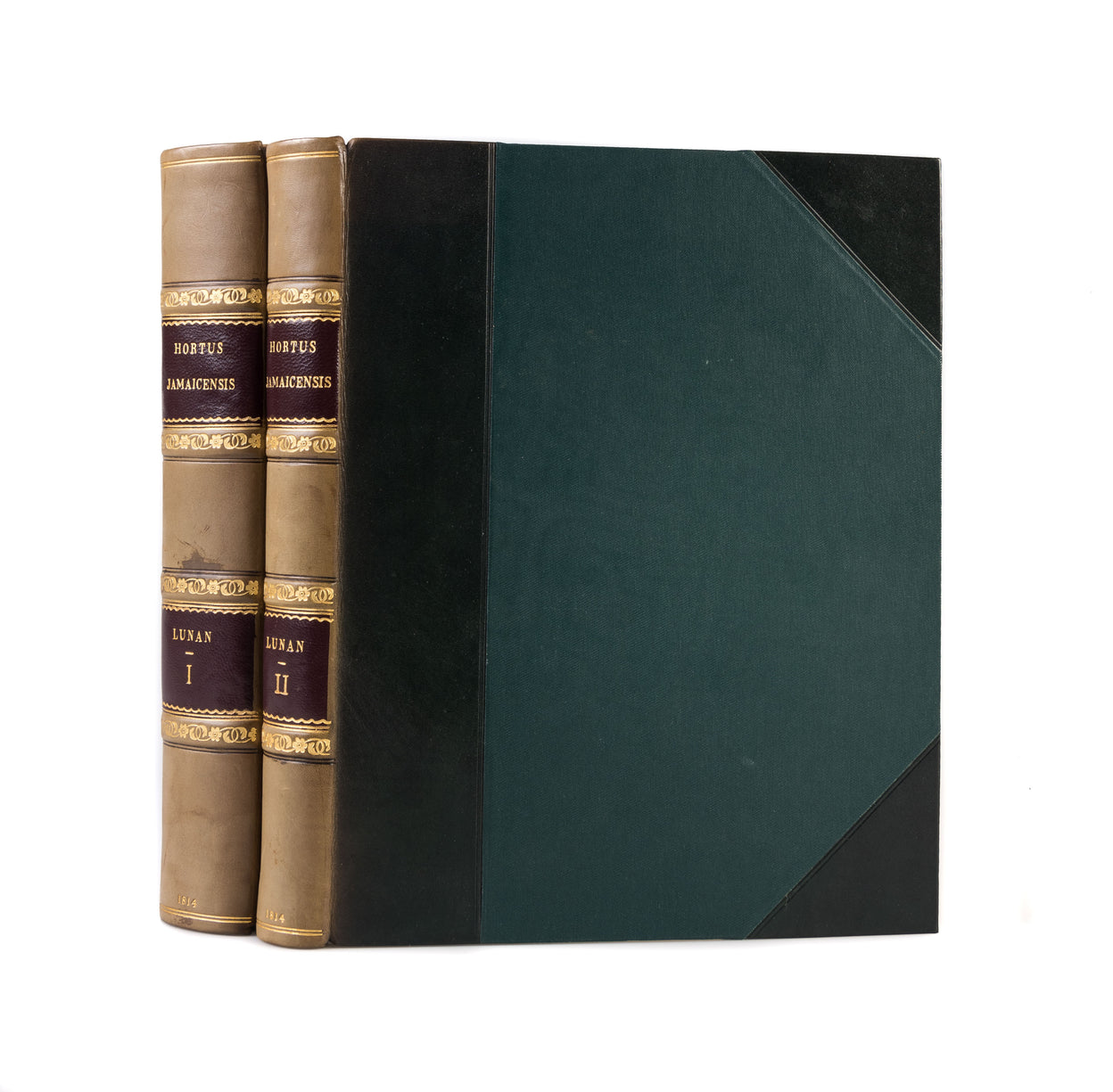 Hortus Jamaicensus,