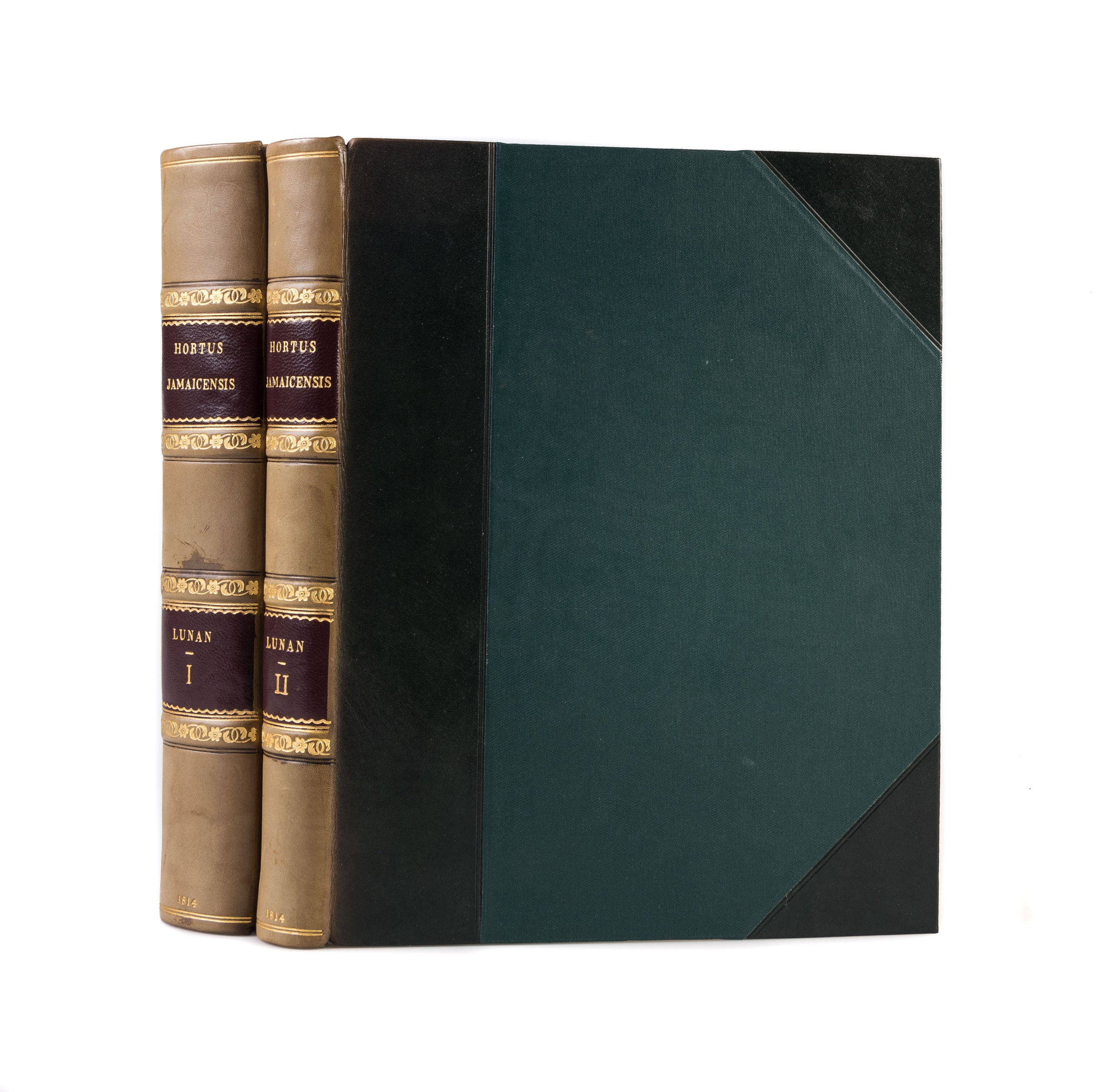 Hortus Jamaicensus,