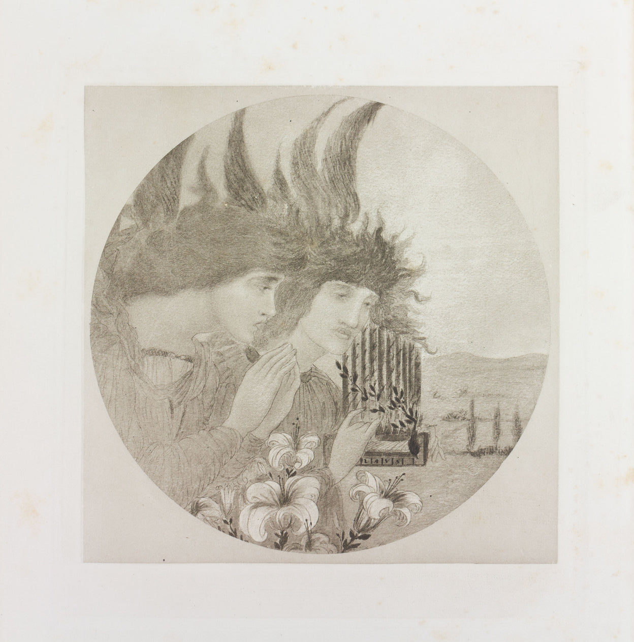 Photogravures of 