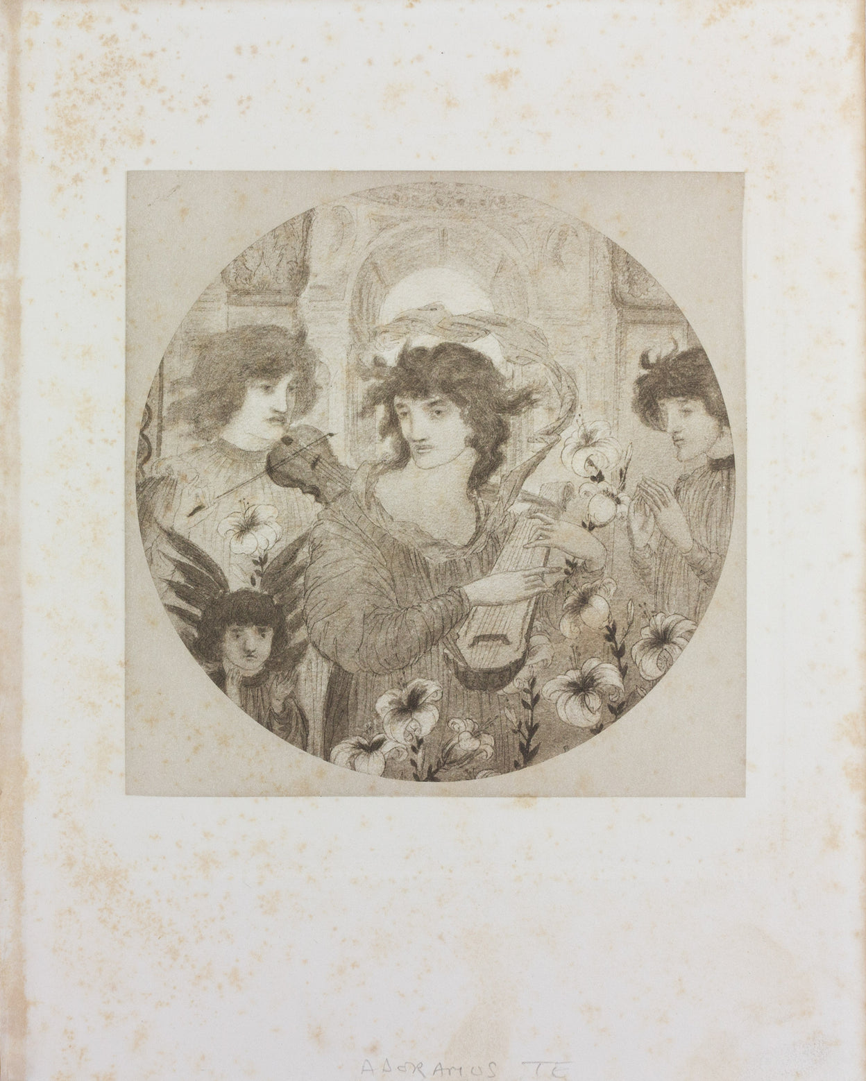 Photogravures of 