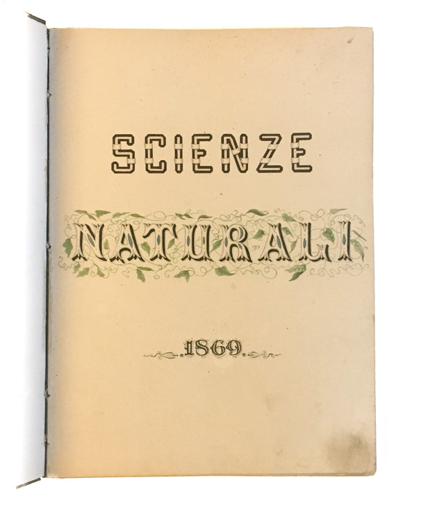 [Three illustrated notebooks.]