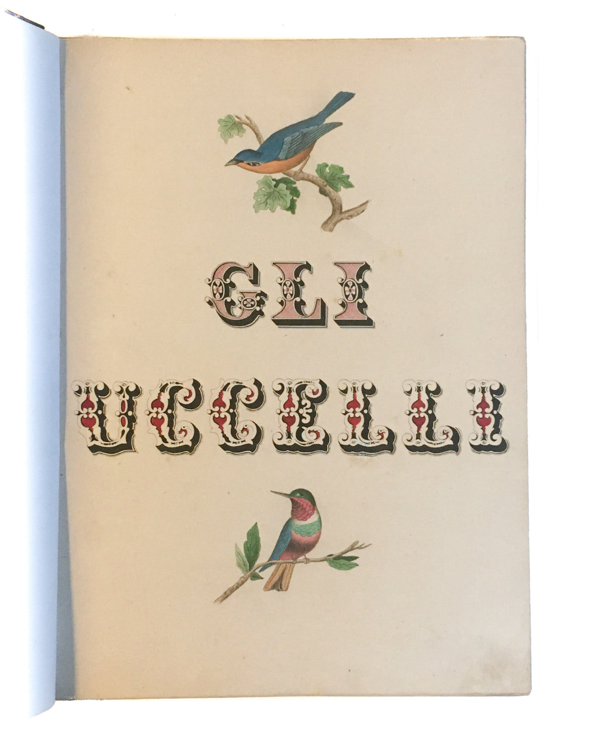 [Three illustrated notebooks.]