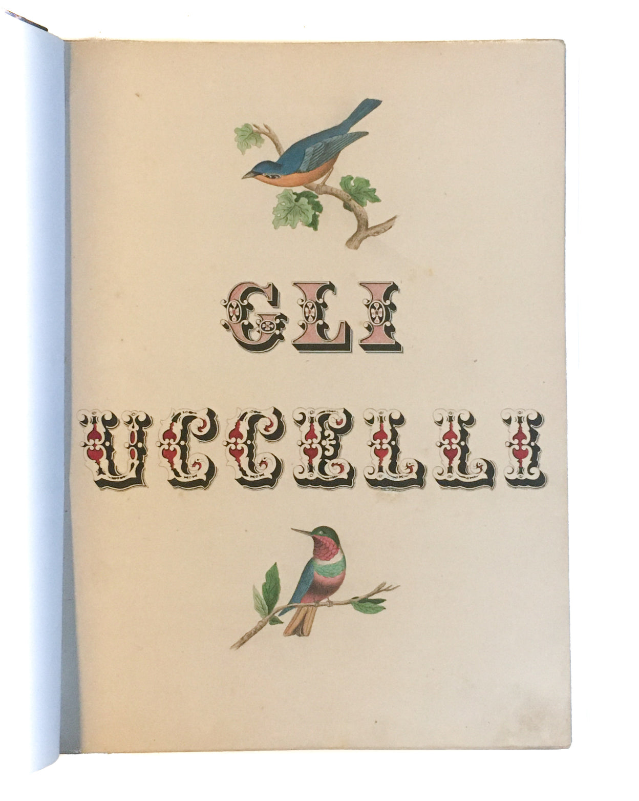 [Three illustrated notebooks.]