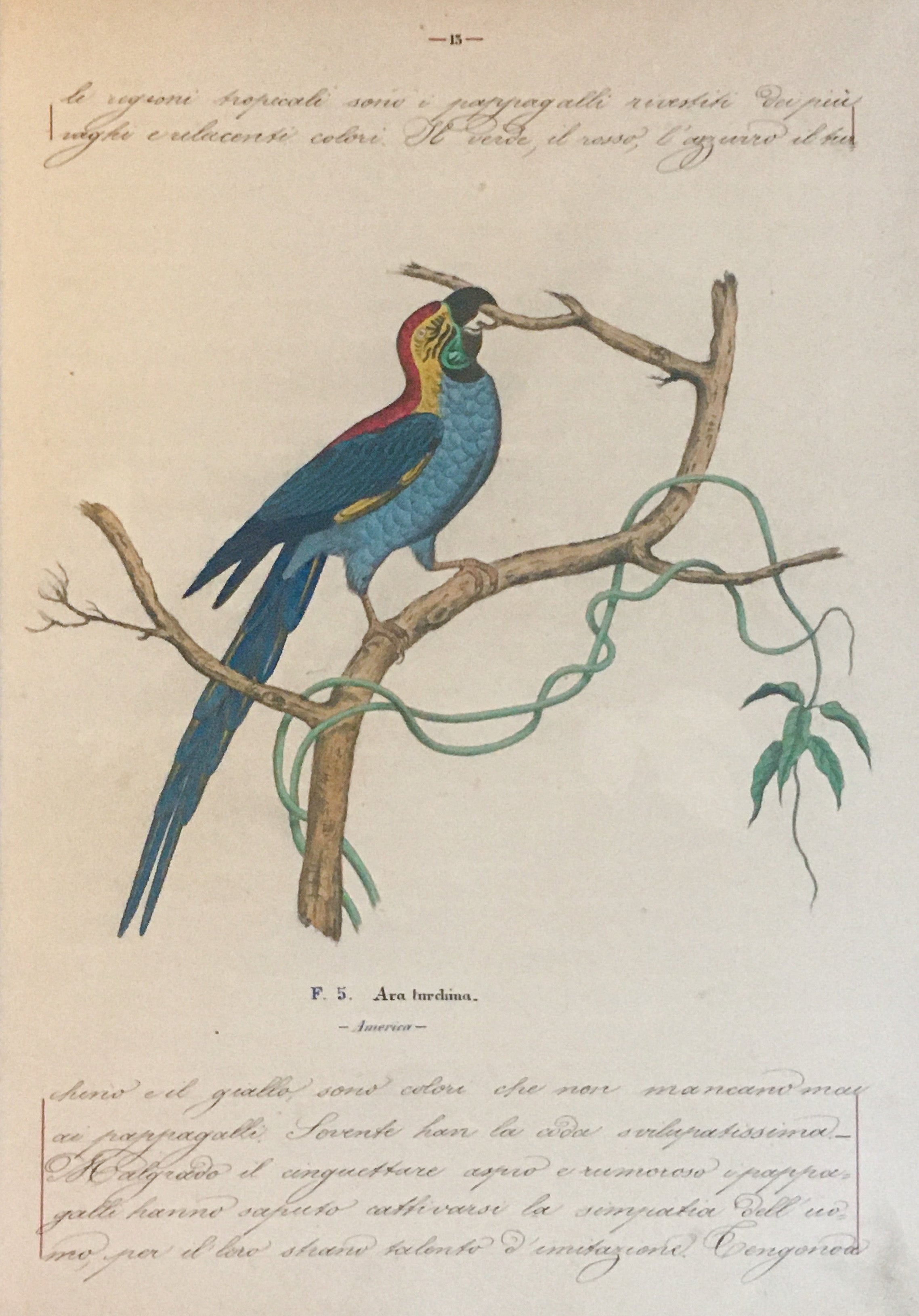 [Three illustrated notebooks.]