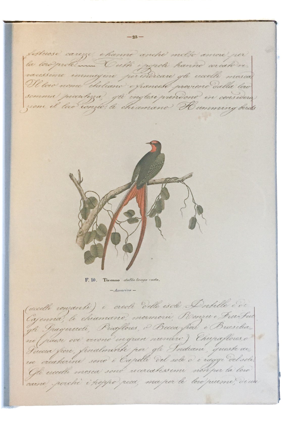 [Three illustrated notebooks.]