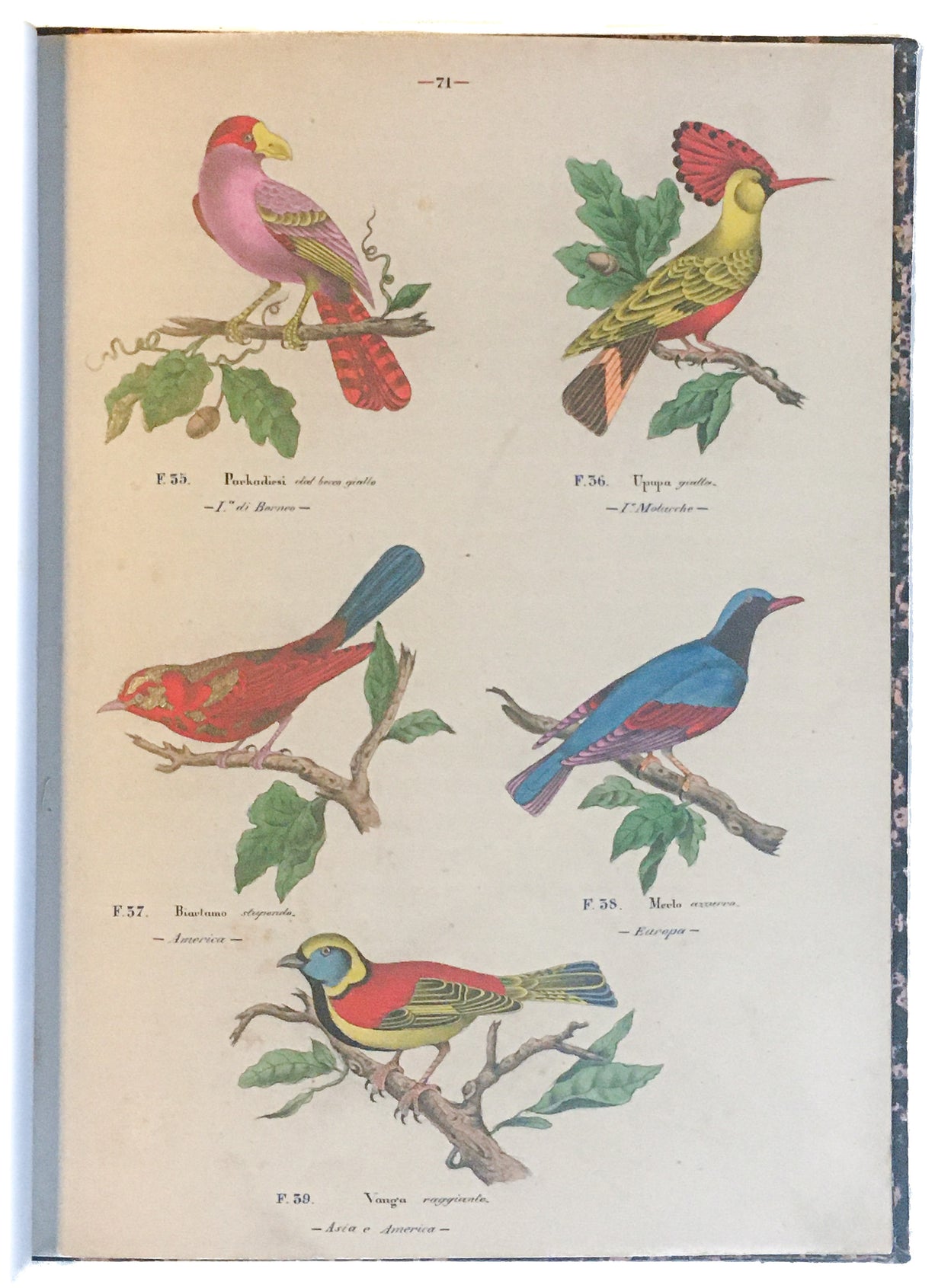 [Three illustrated notebooks.]
