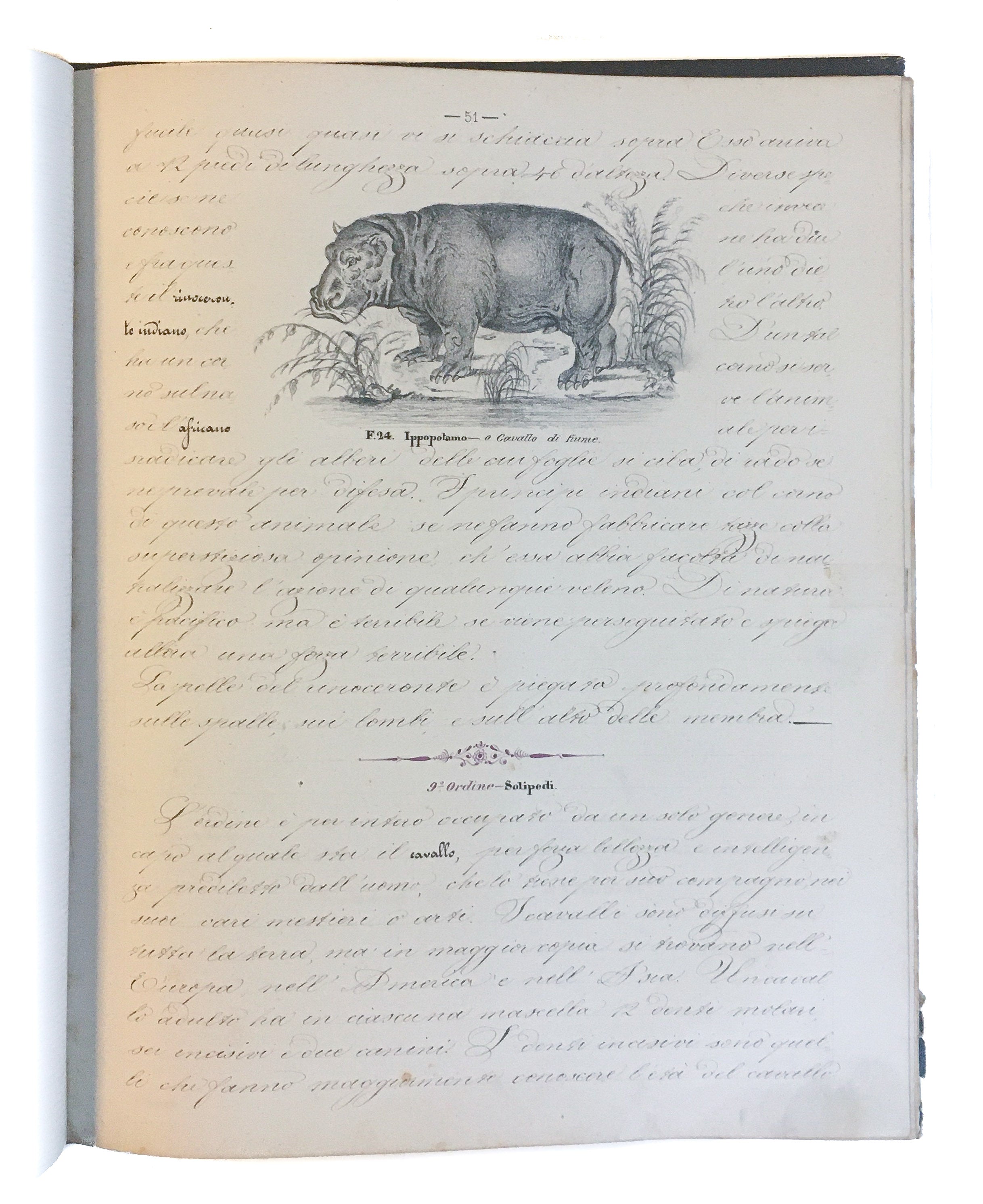 [Three illustrated notebooks.]