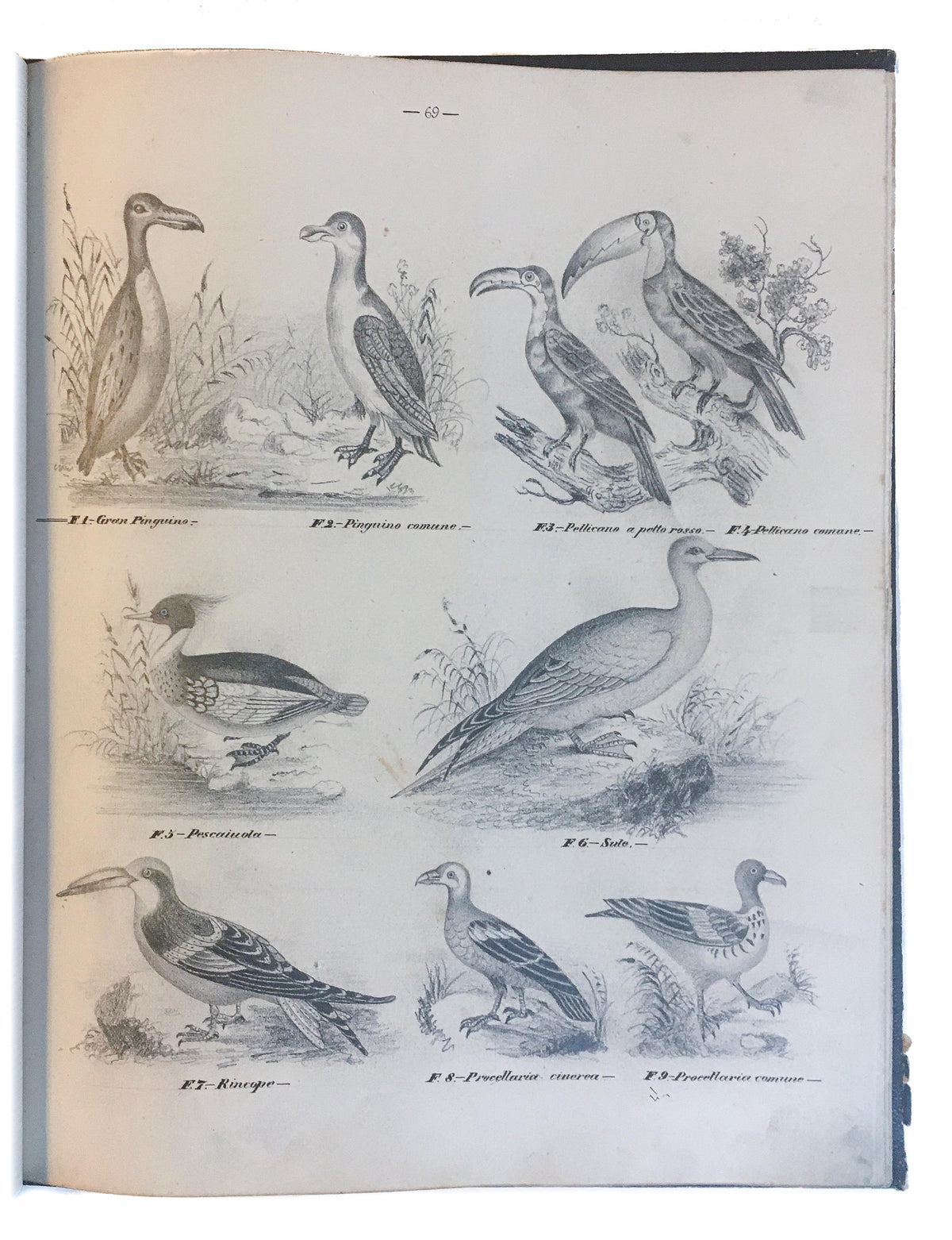 [Three illustrated notebooks.]